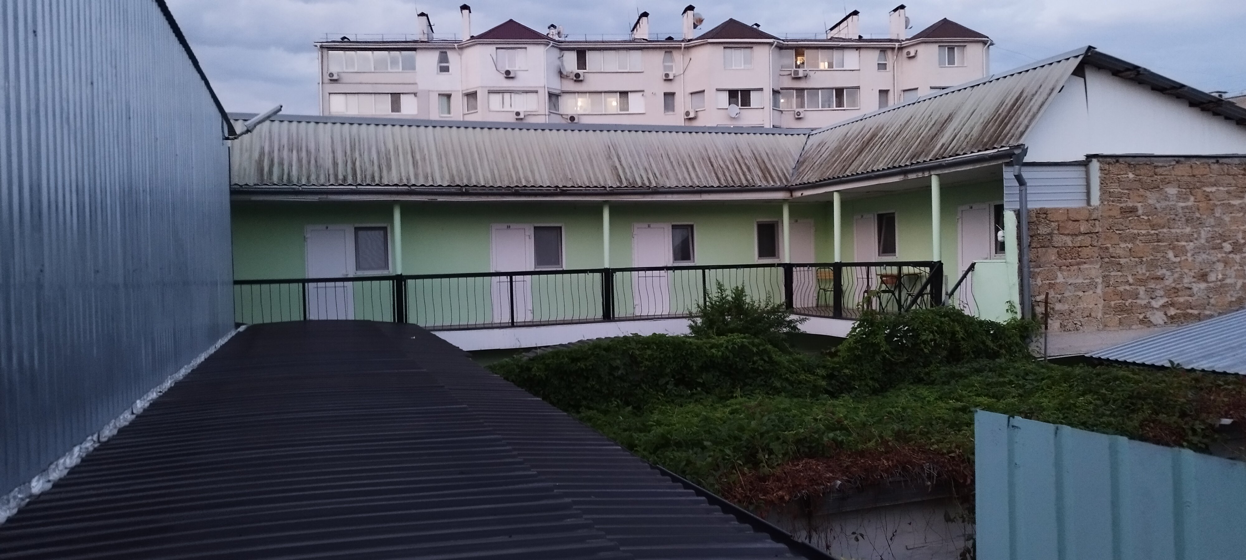 Фото Сильвия