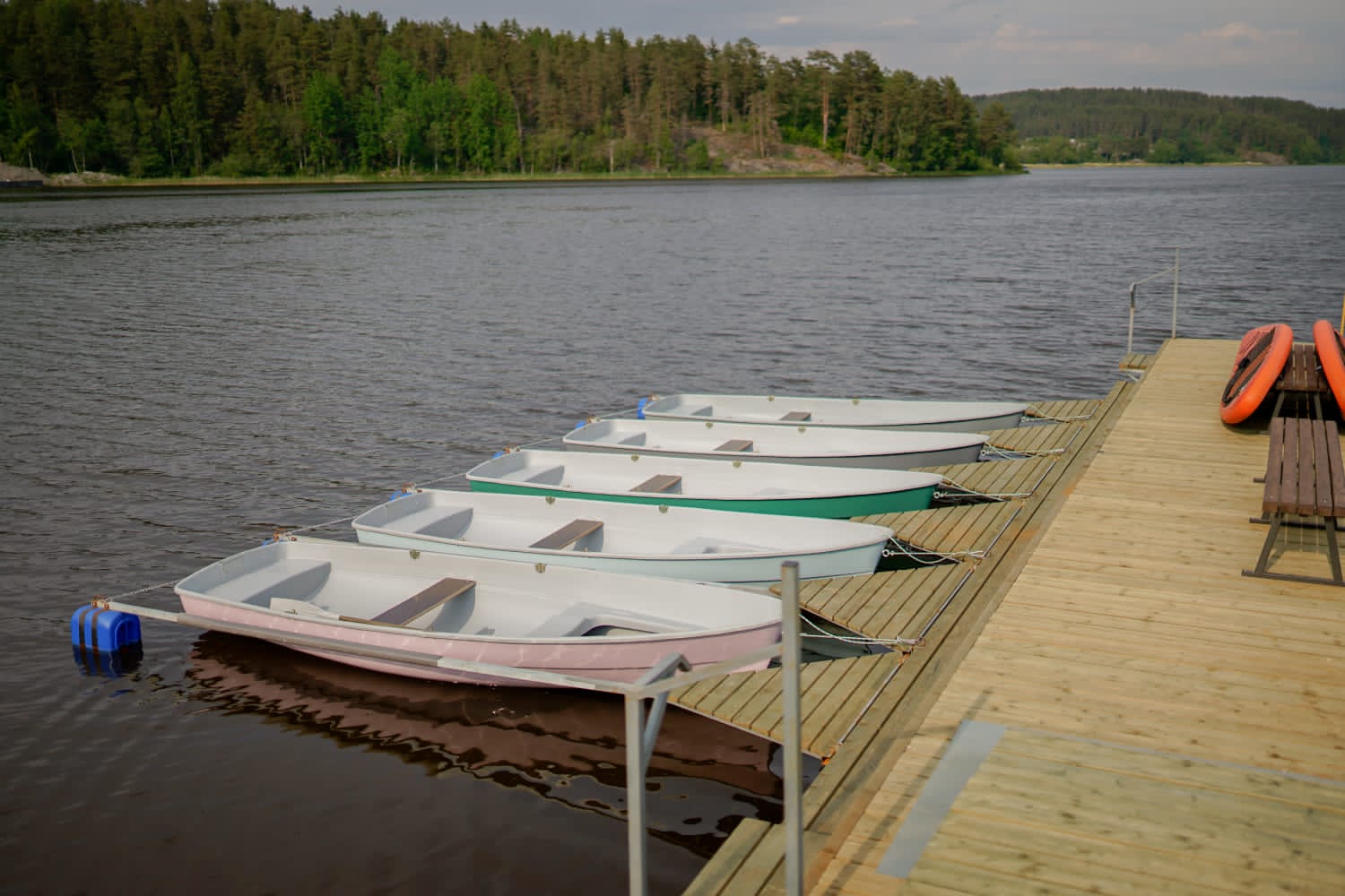 Фото Черная жемчужина