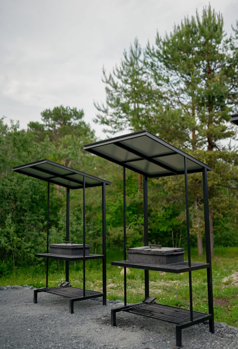 Фото Черная жемчужина