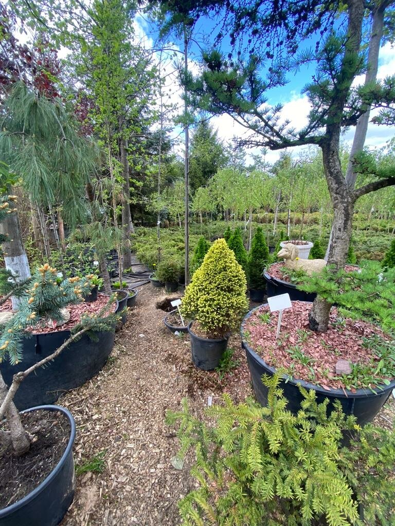 Садовод, садовый центр, МКАД, 92-й километр, 1, стр. 5, Москва - Яндекс Карты