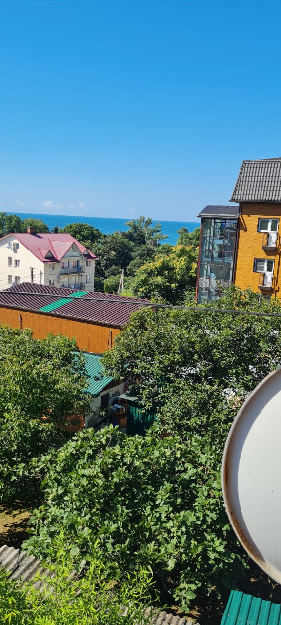 Фото Золотая рыбка