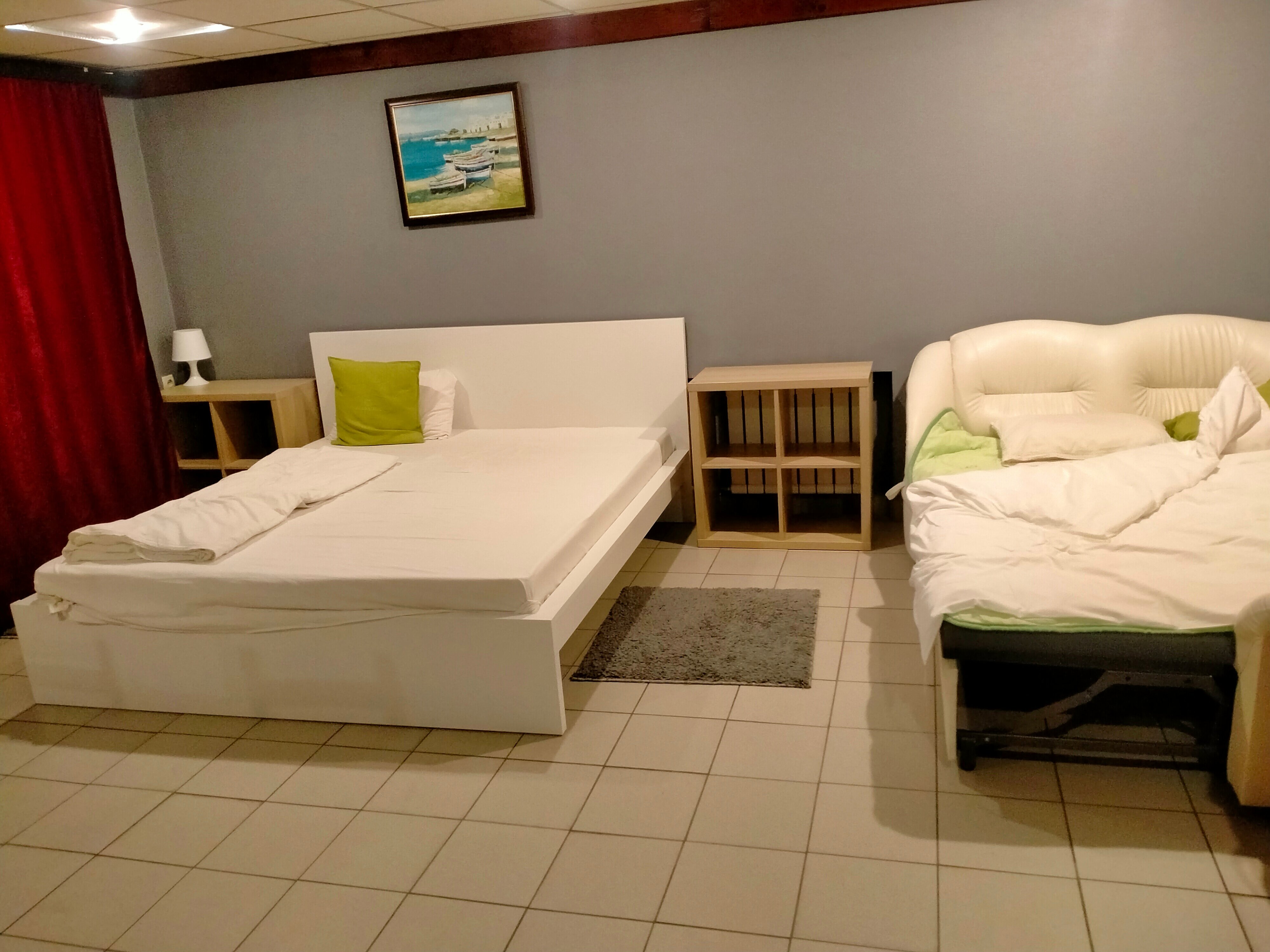 Фото Альбатрос