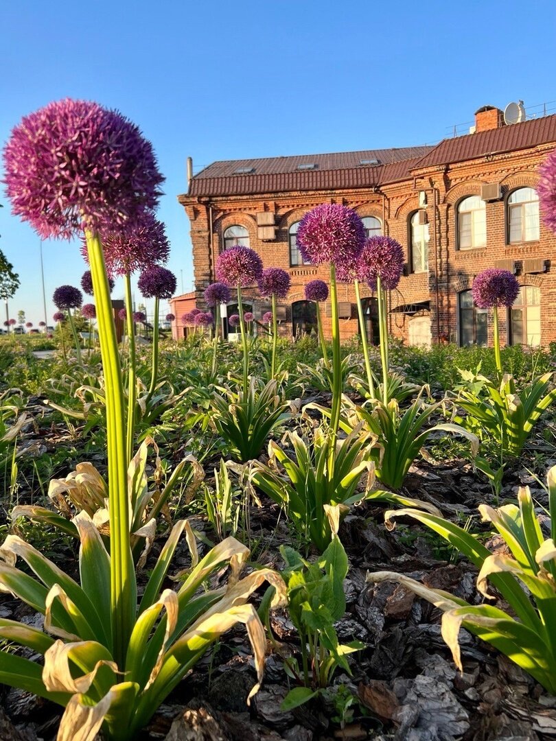 Фото Никитин