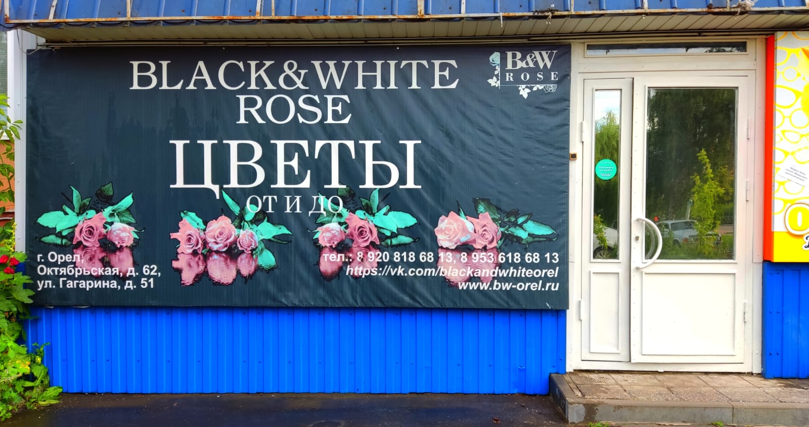 Долголетие октябрьская ул 62 орел фото