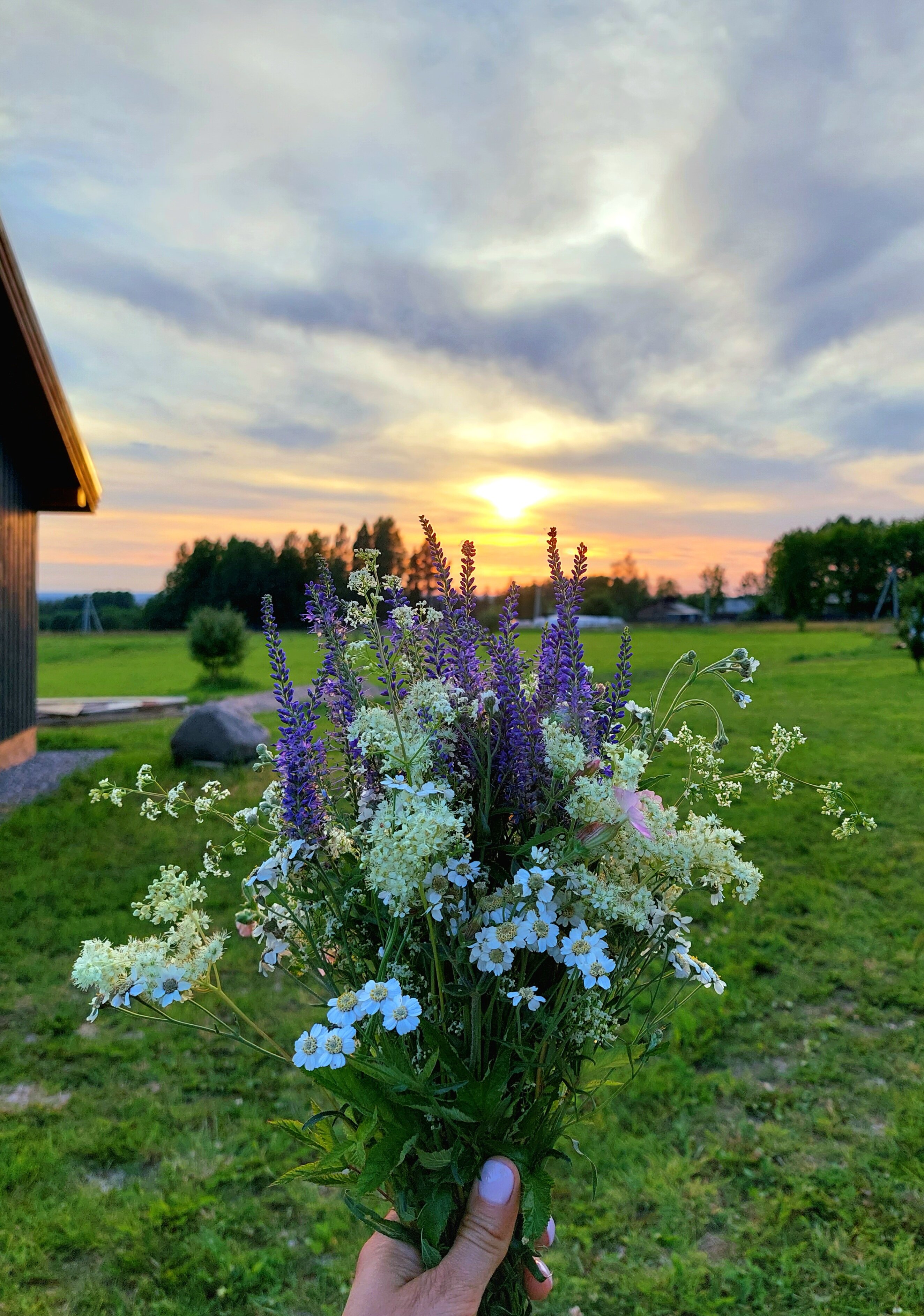 Фото Smoky Hills