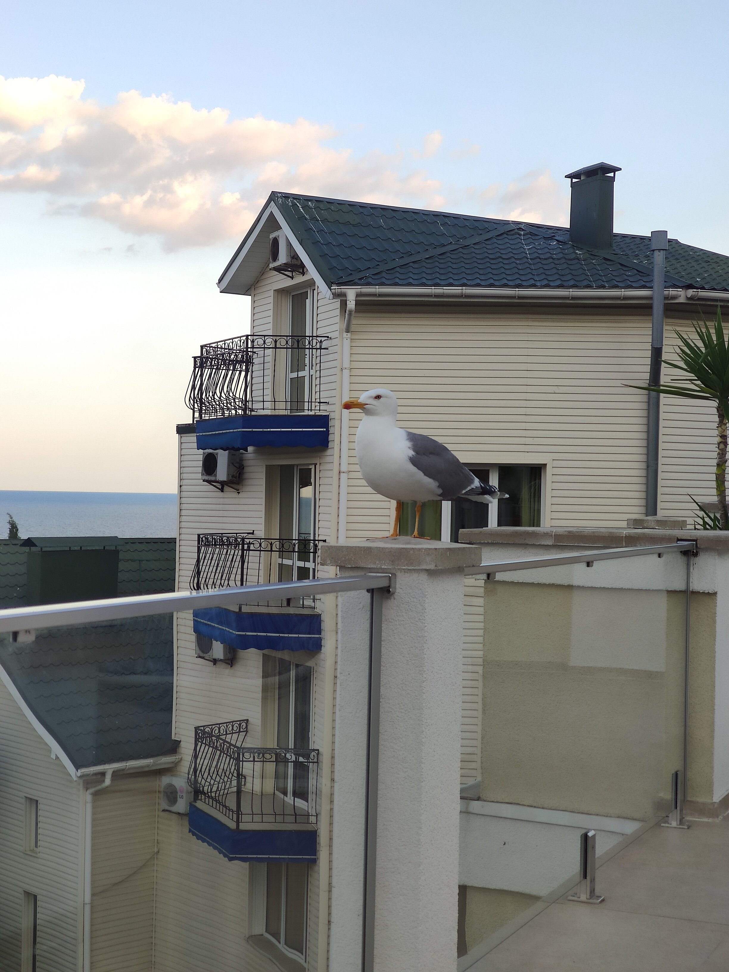 Фото Вилла Мира