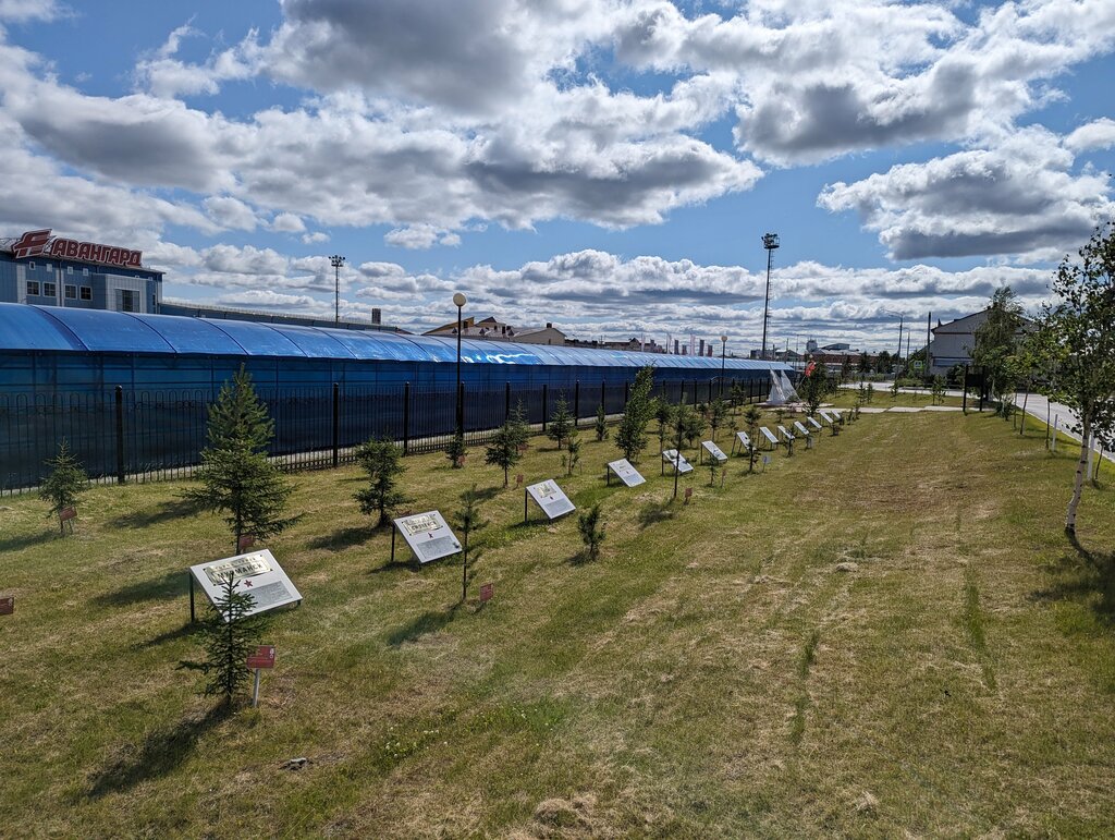 Parque de cultura y ocio аллея 70-летия Победы в Великой Отечественной войне, , foto
