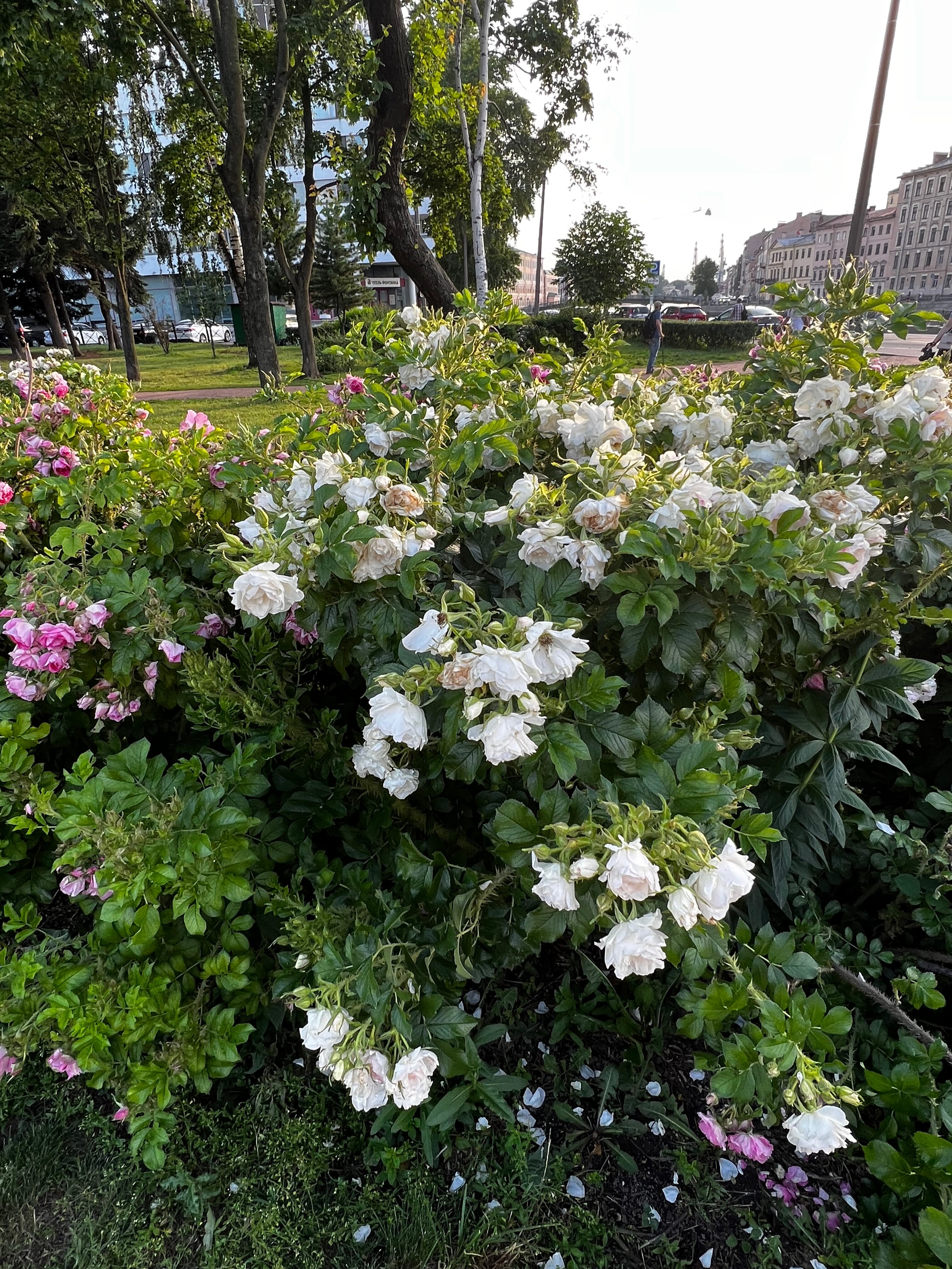 Фото Azimut Сити Отель Санкт-Петербург