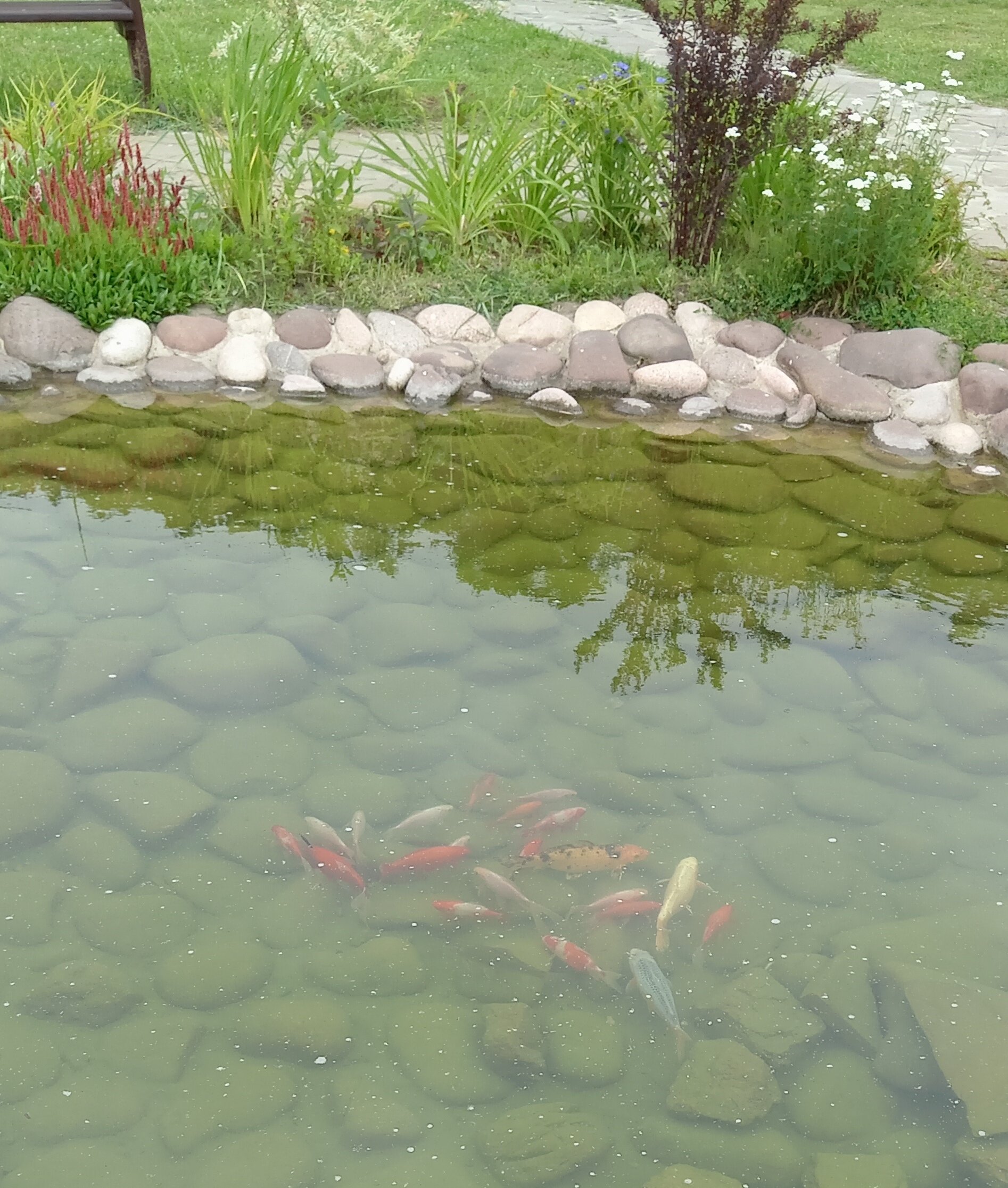 Фото Парк-отель Шахтёр