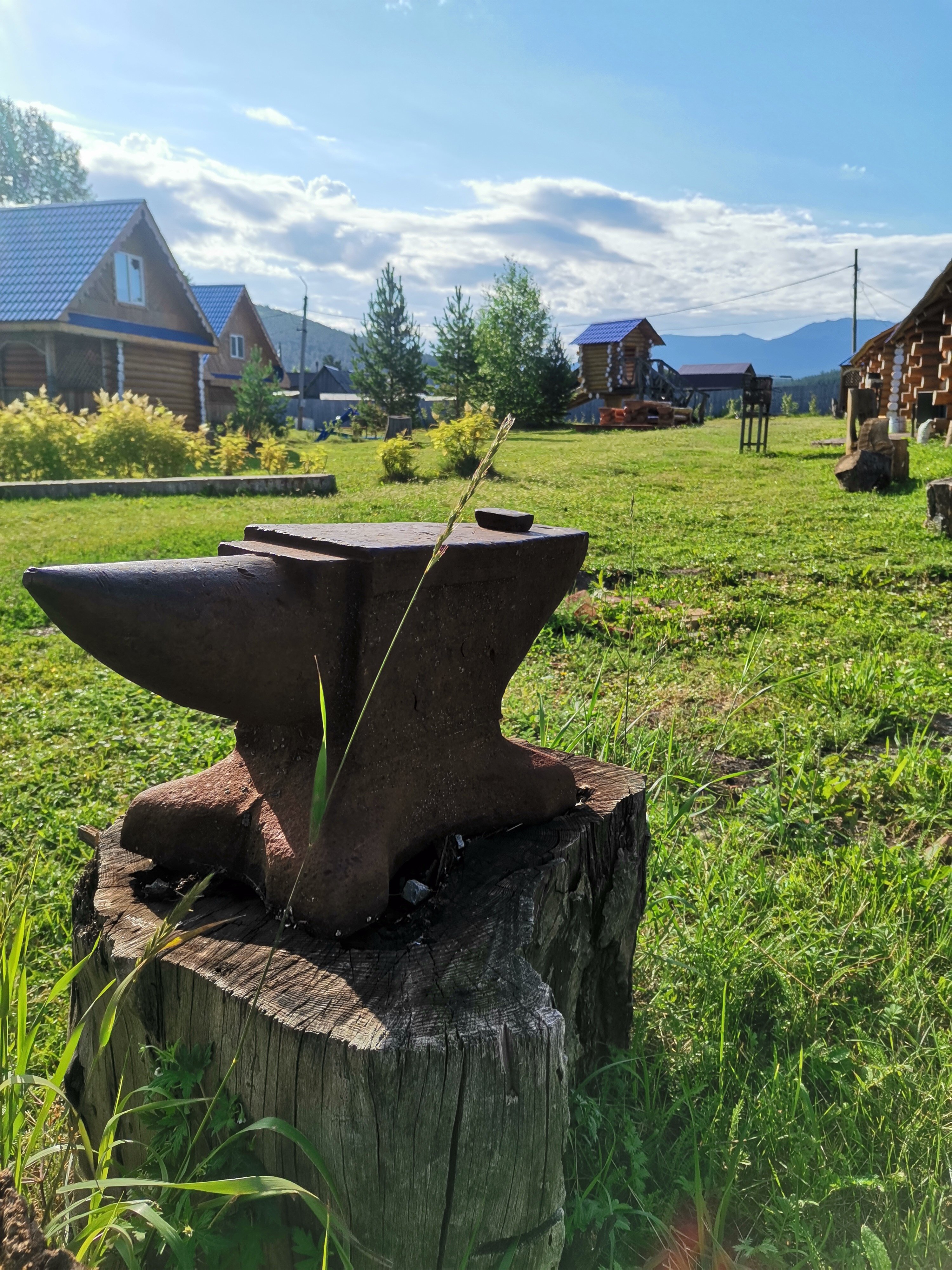 Фото Таежное