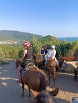 Конные прогулки Лошадки в Анапе (selo Supsekh, Kavkazskaya ulitsa, 1), horse riding