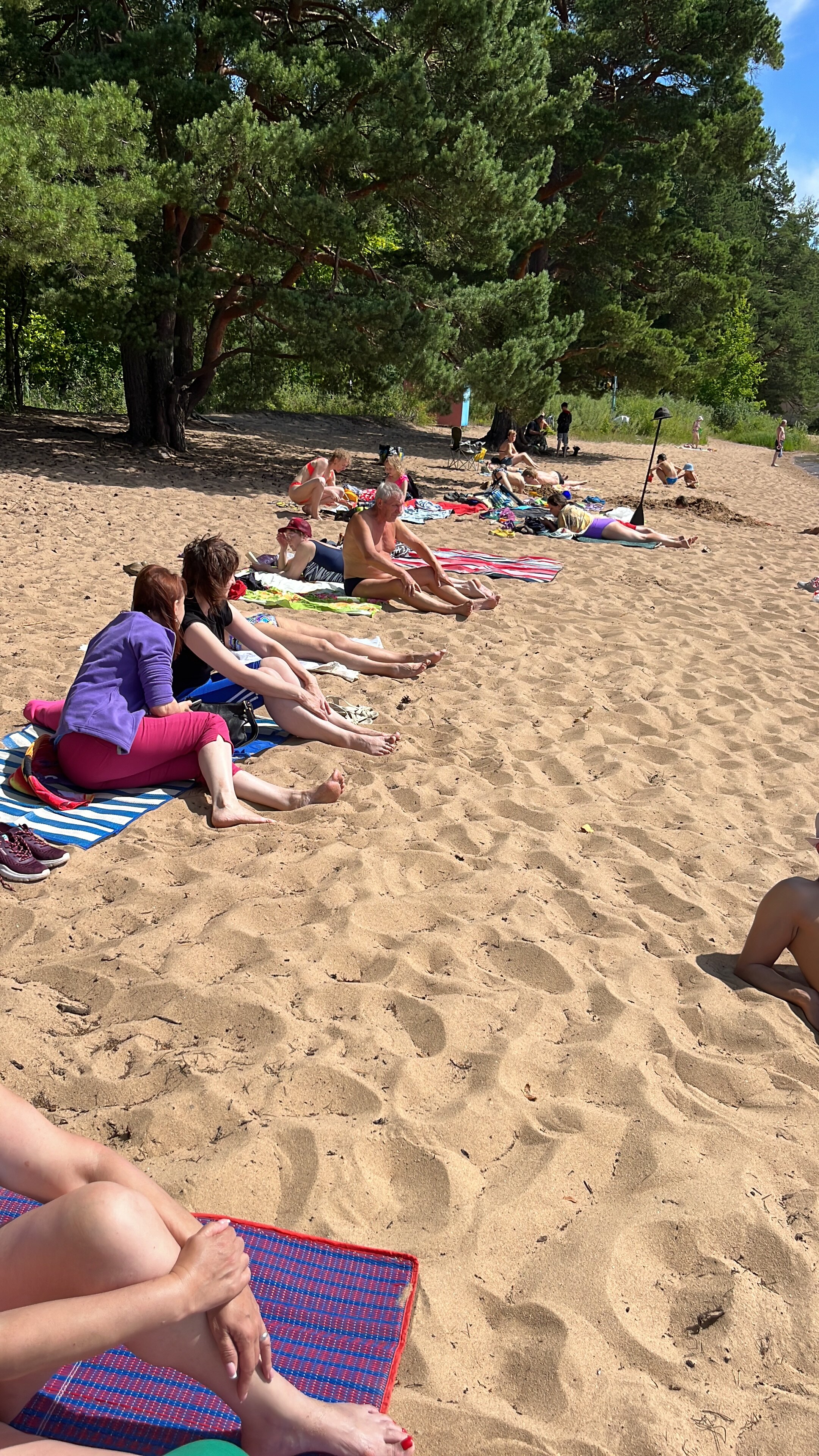 Фото Орлинка