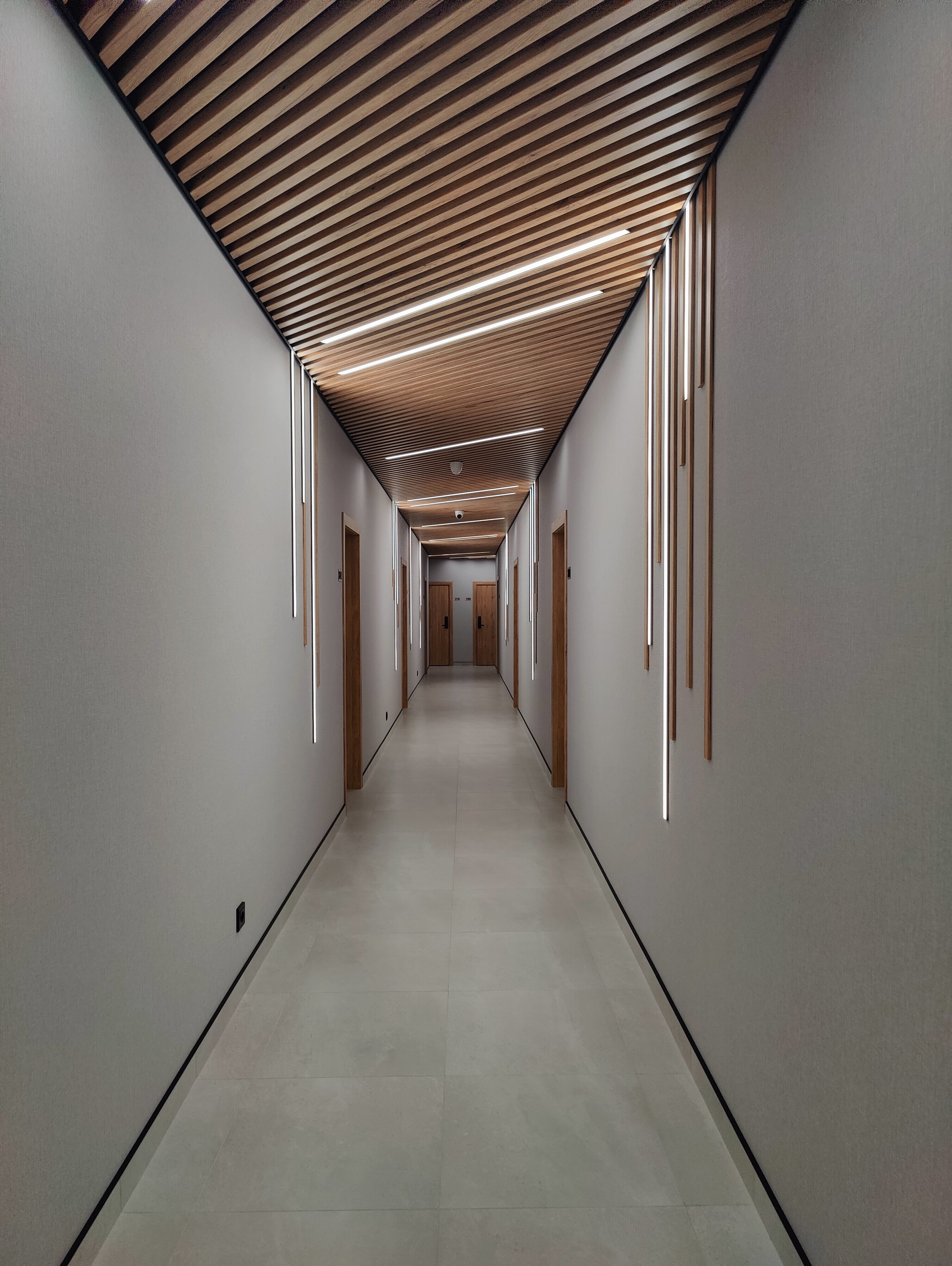 Фото Астерия Сириус