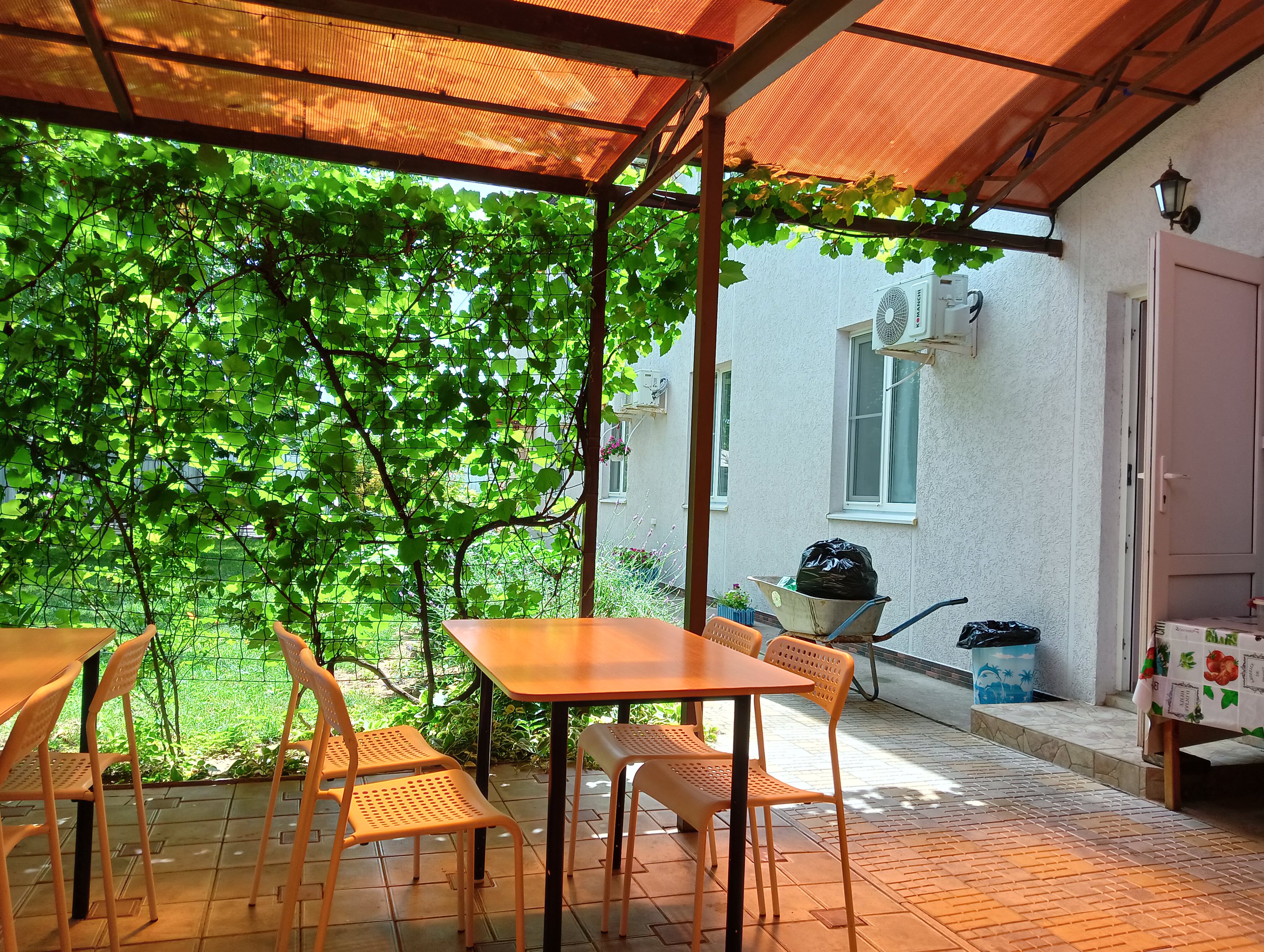 Фото Ореховый рай