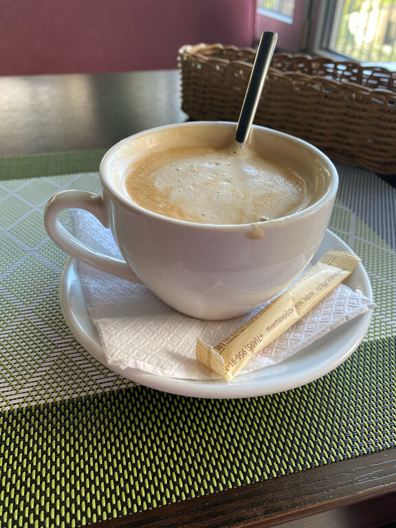 Фото Панда на Бамбуковой