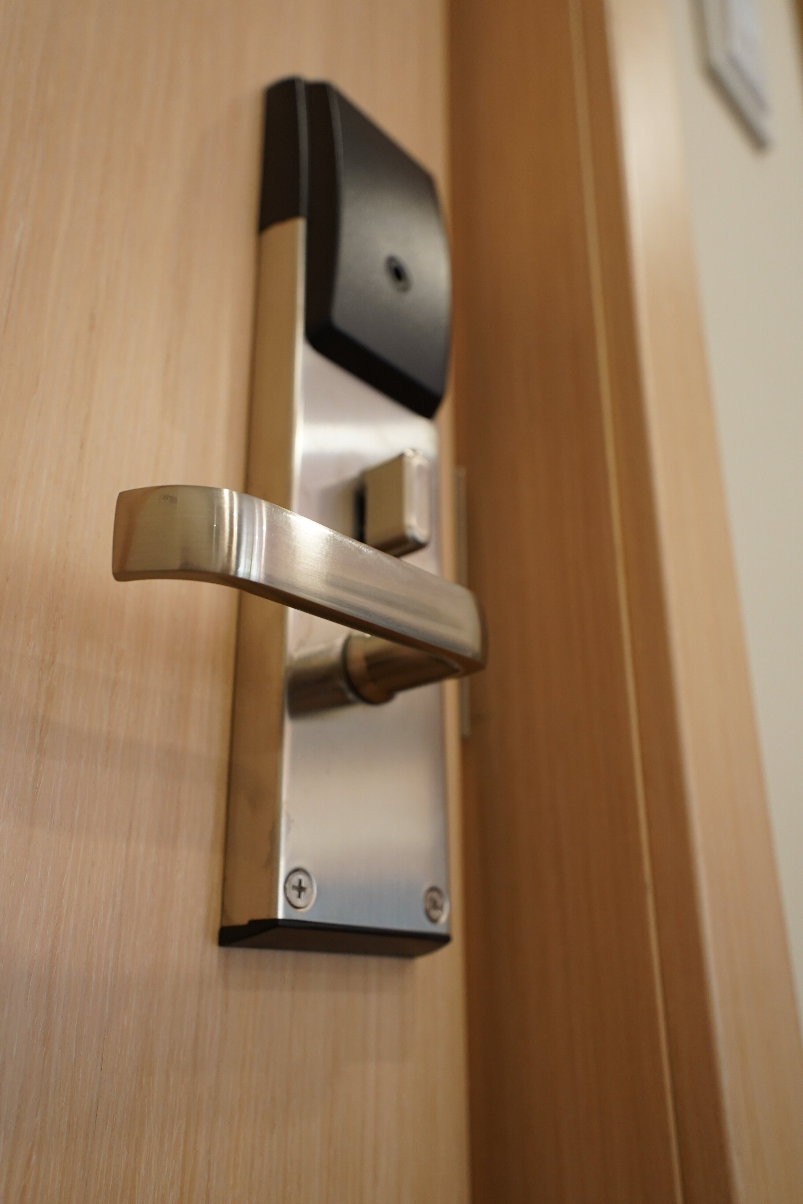 Фото Сканди