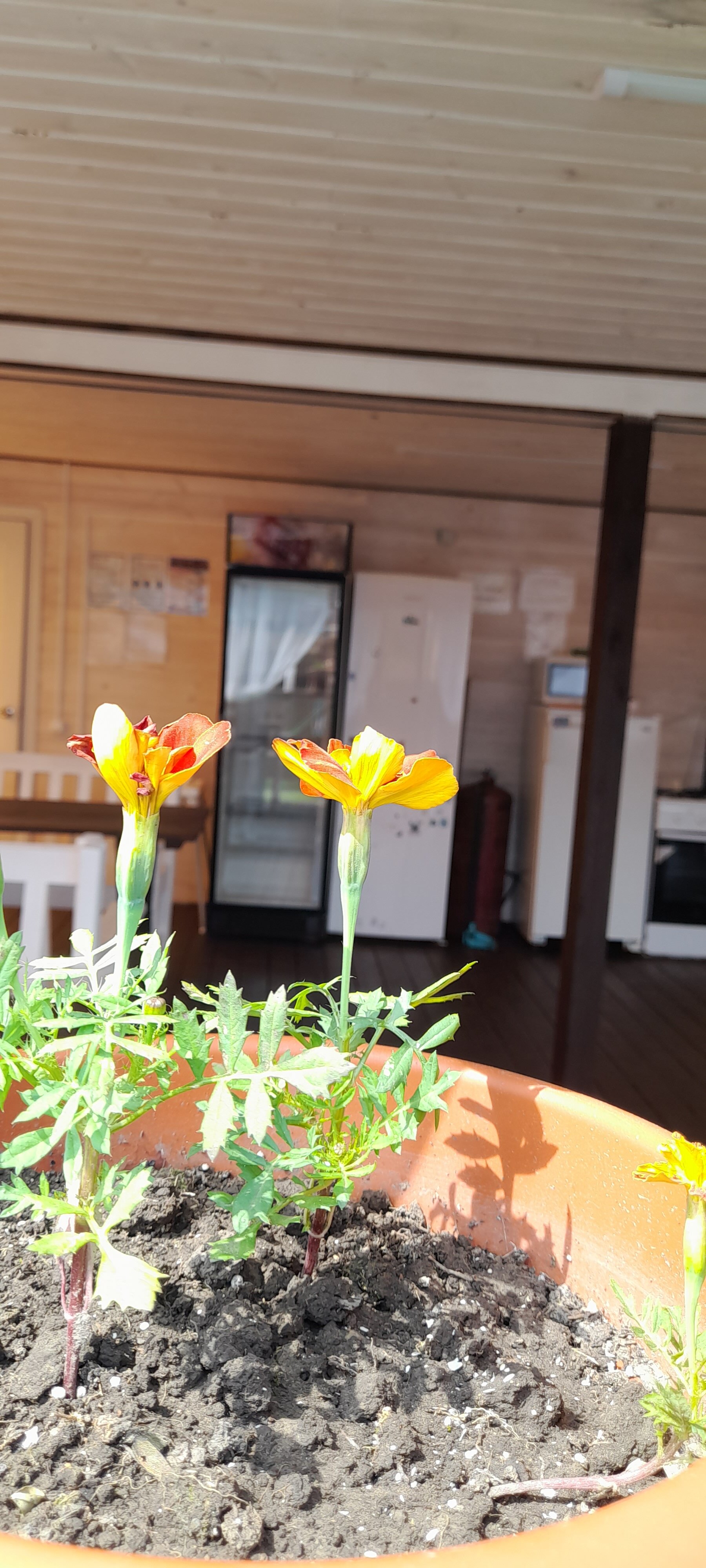 Фото Lucky House