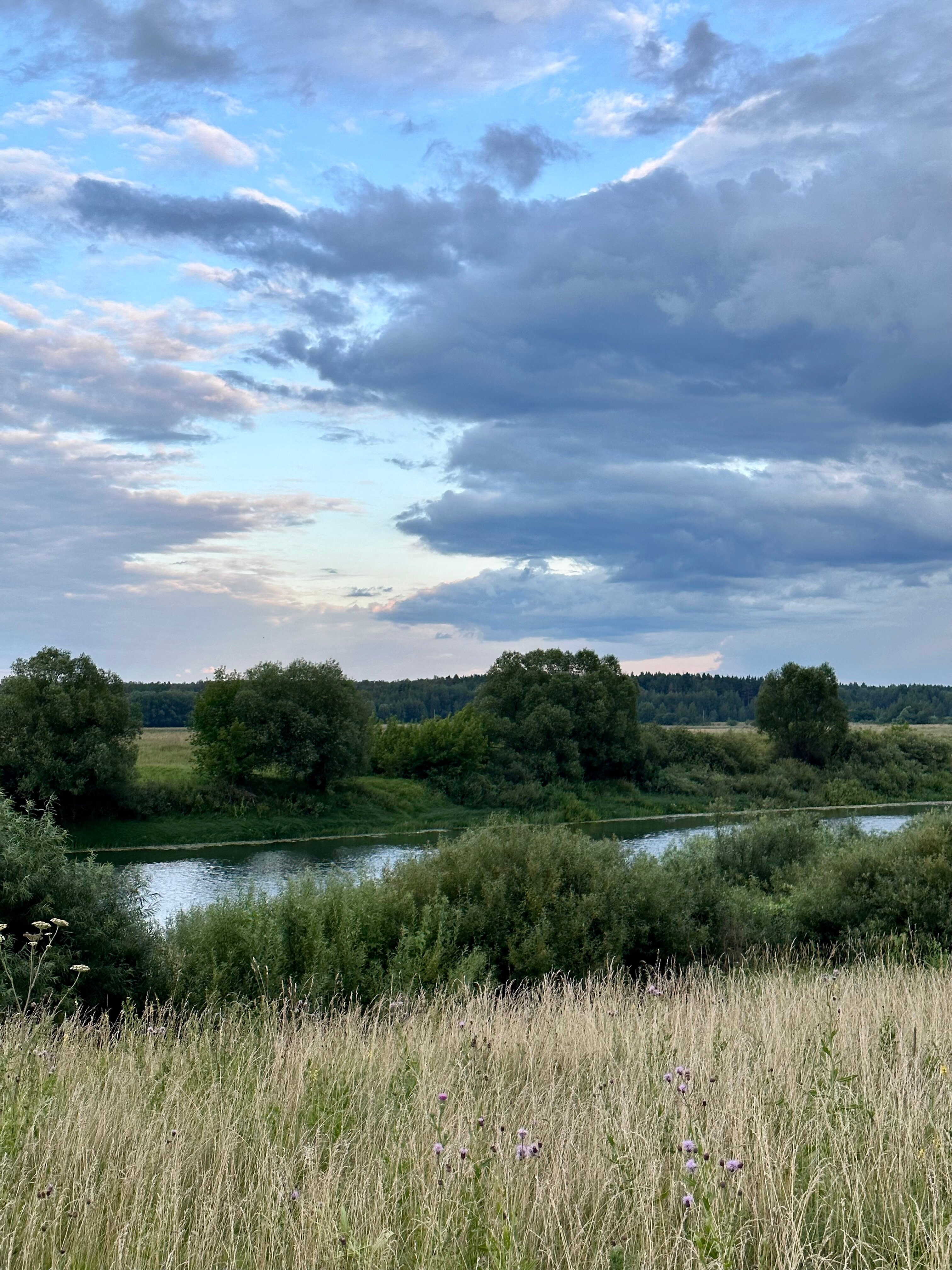 Фото Прованс