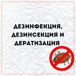 Ekoservis (Svetlanskaya Street, 50), desinfección, desinsectación, desratización