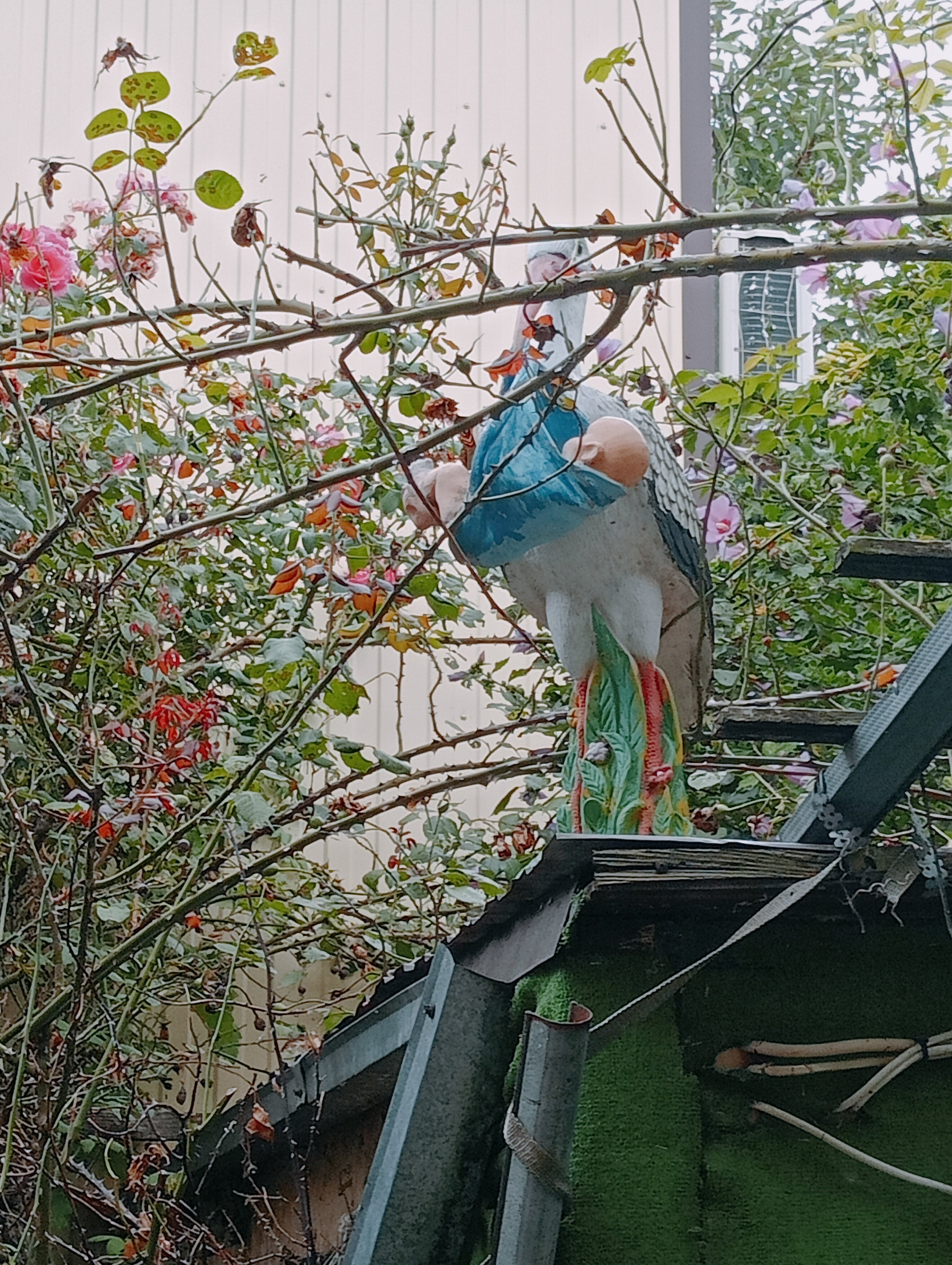 Фото Лесная быль