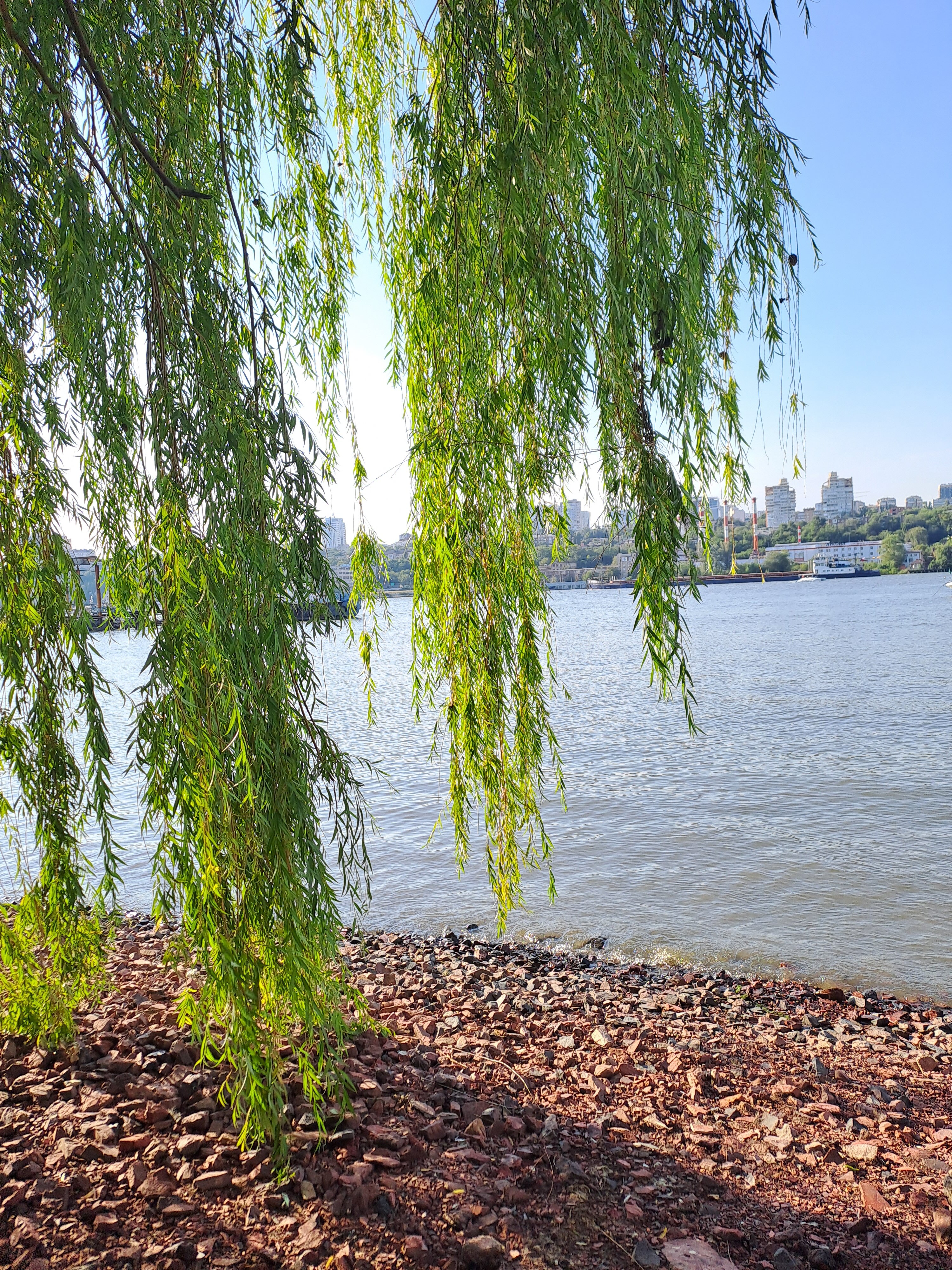 Фото Голубая Волна
