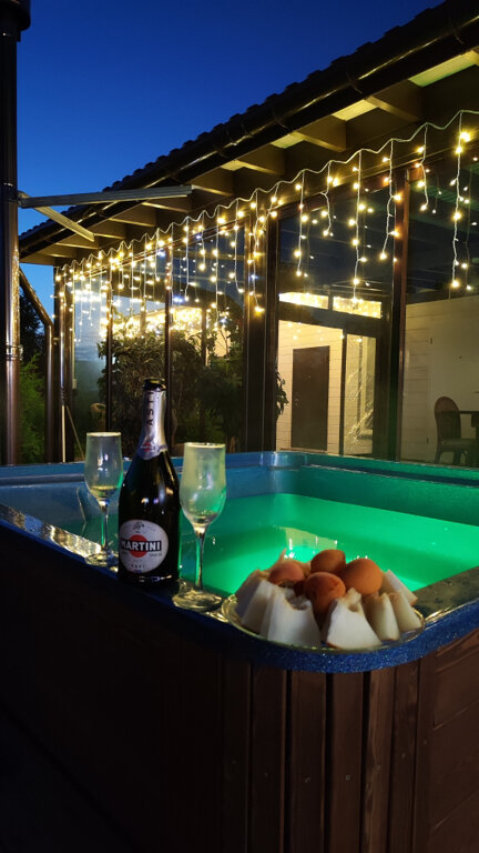 Фото Метелица