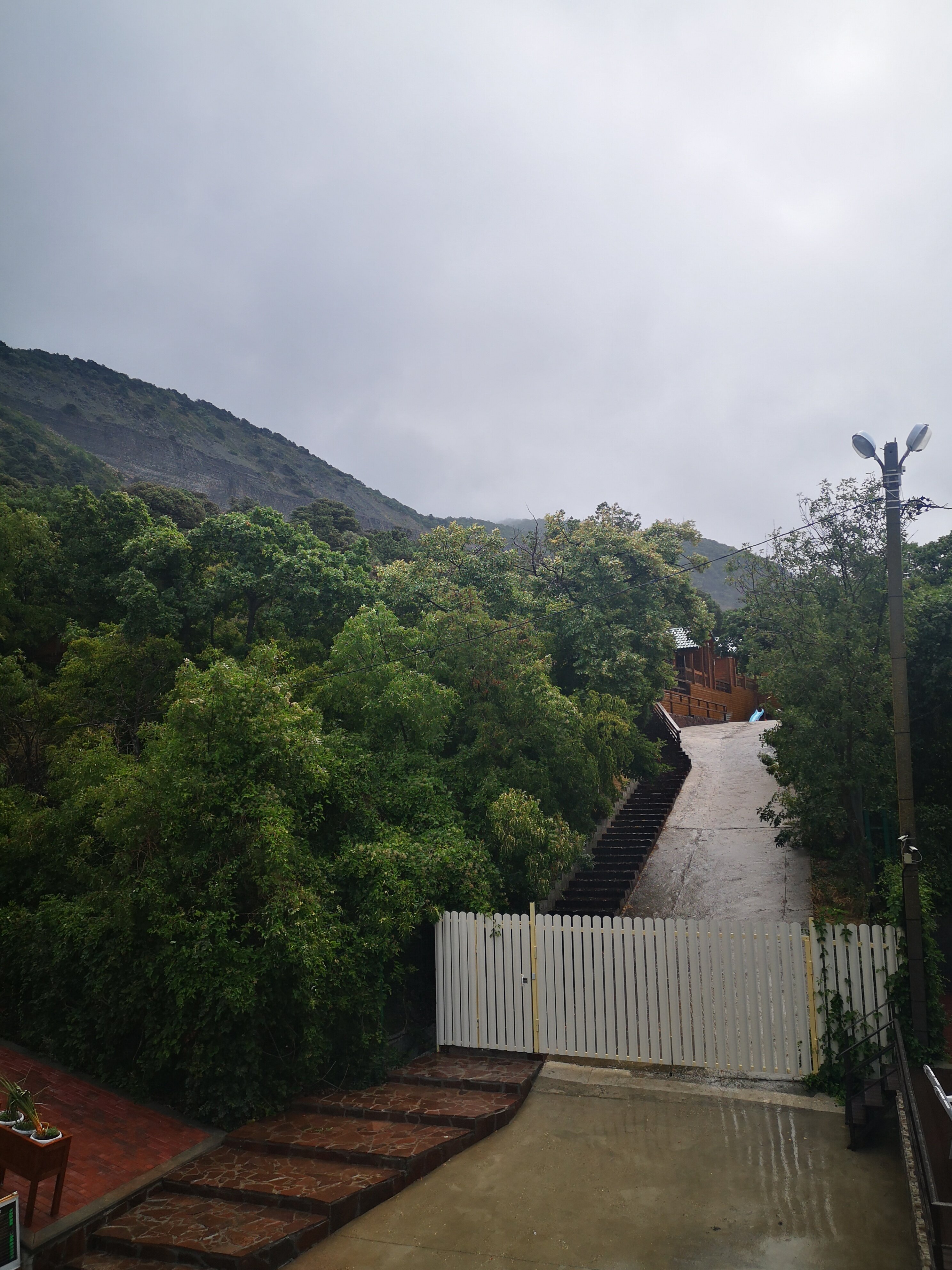Фото Лесной дворик