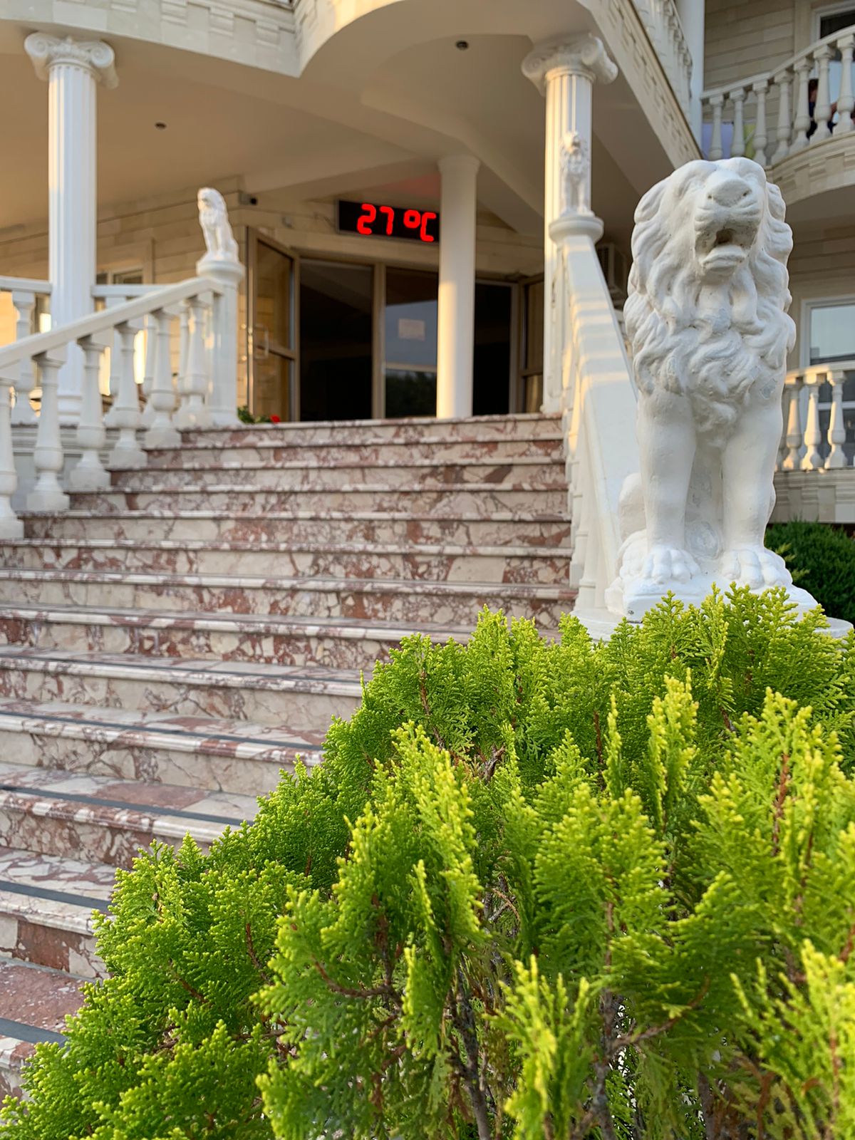 Фото Аттика