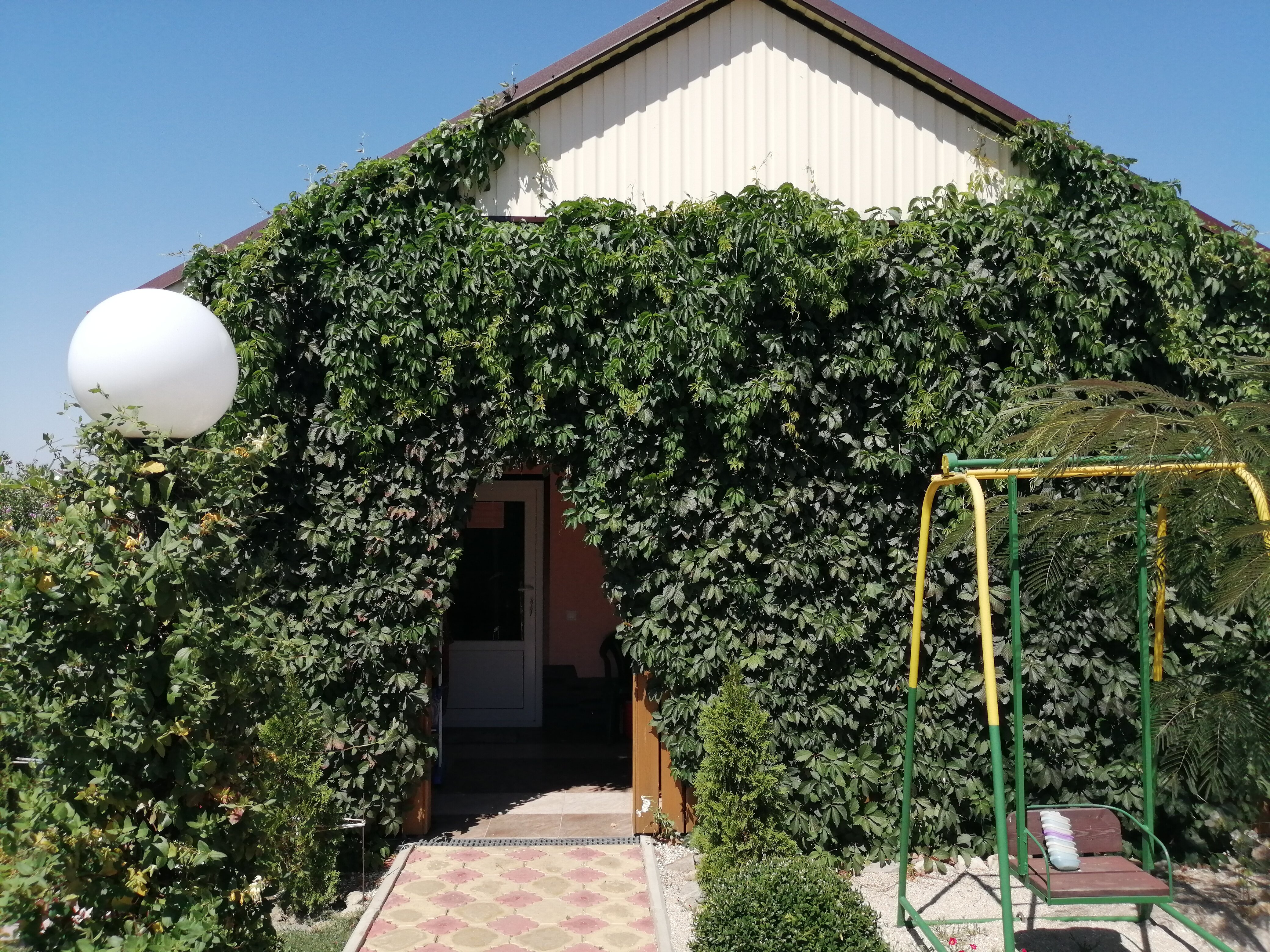 Фото Должания