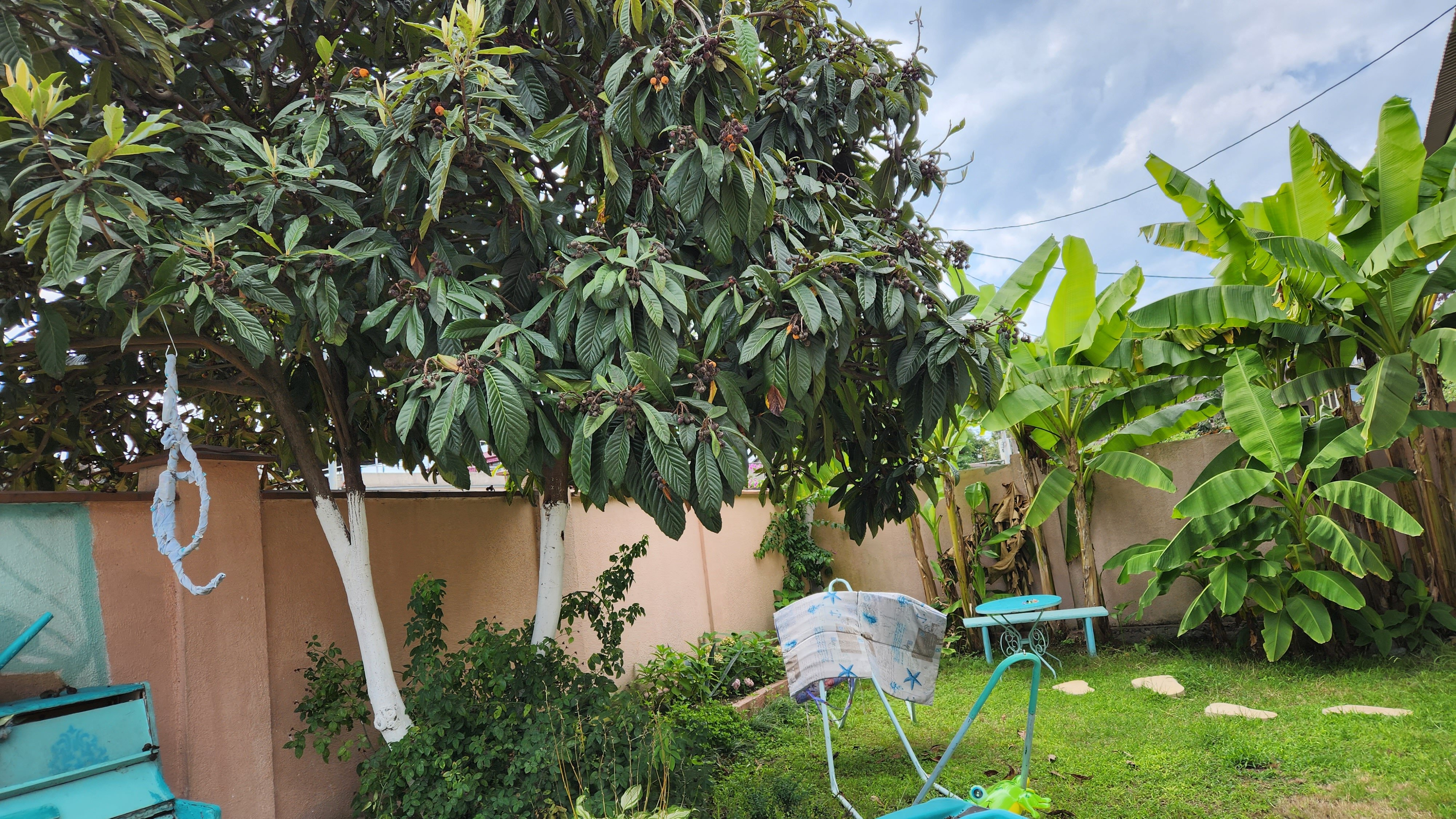 Фото Sandro Sukhumi