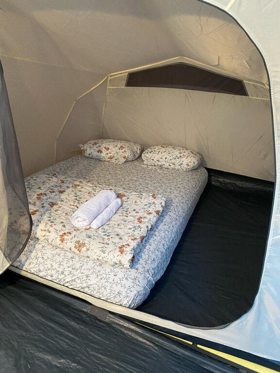 Фото Под соснами