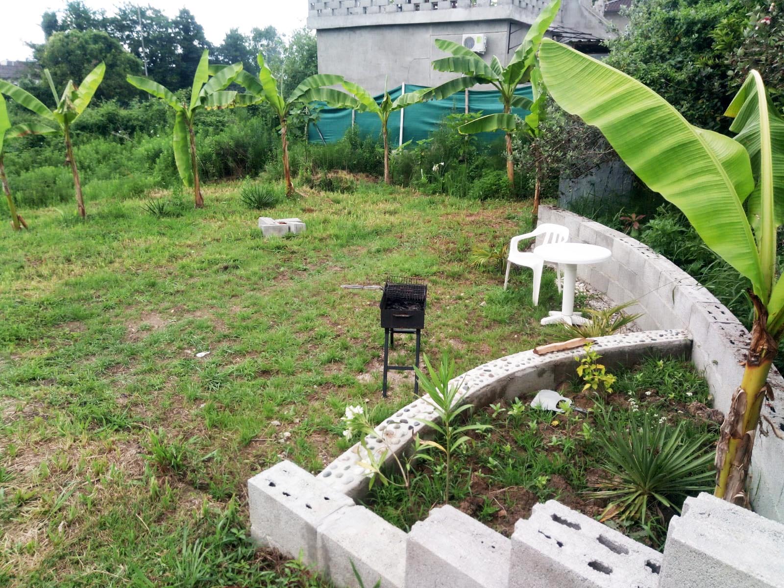 Фото У Комаровых