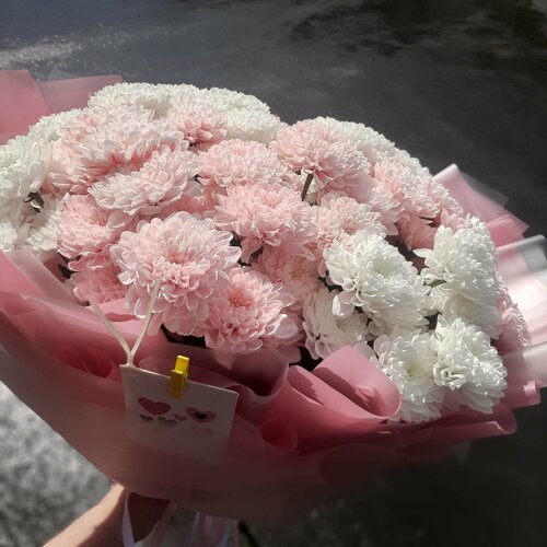 花 АВ-Спящая Красавица (787-47)