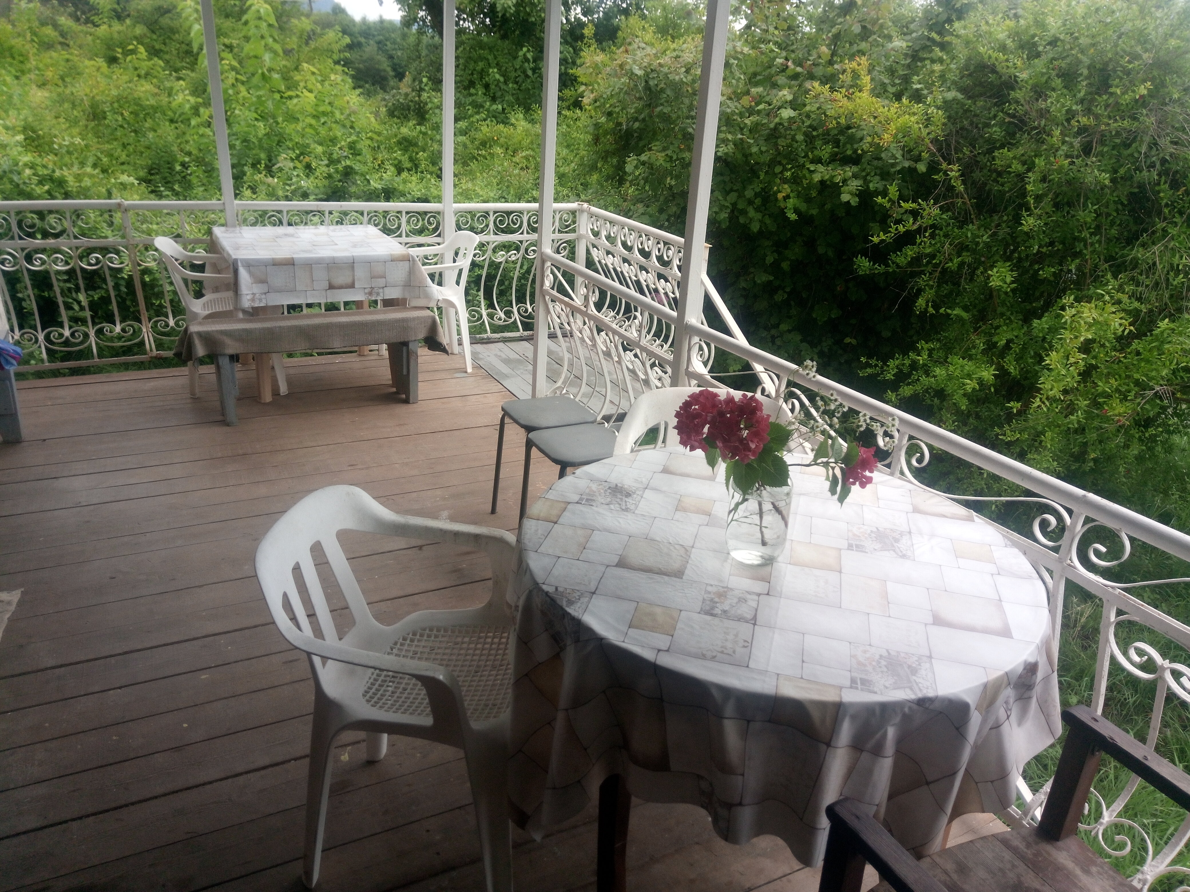 Фото У Комаровых