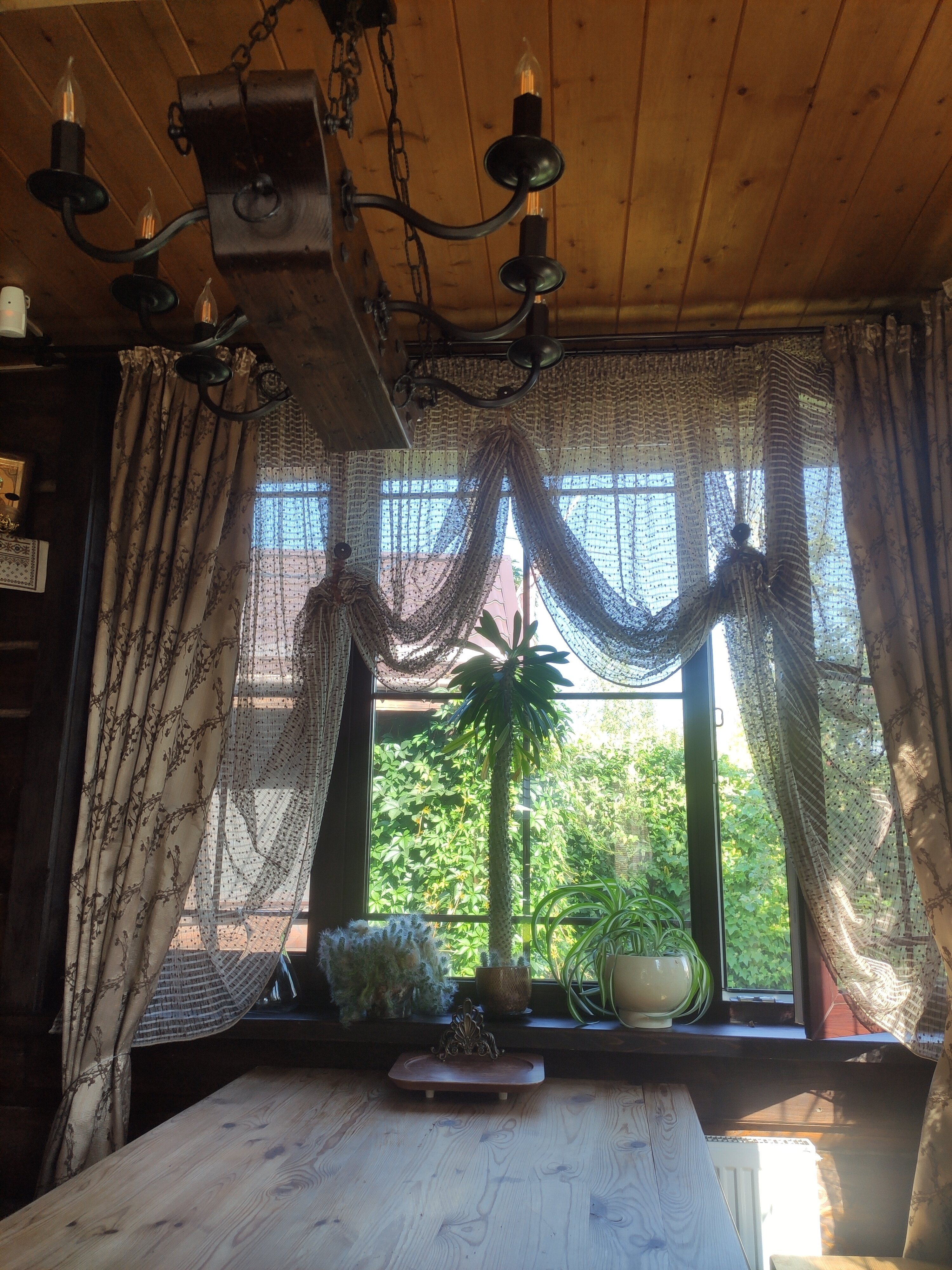 Фото Серый Волк