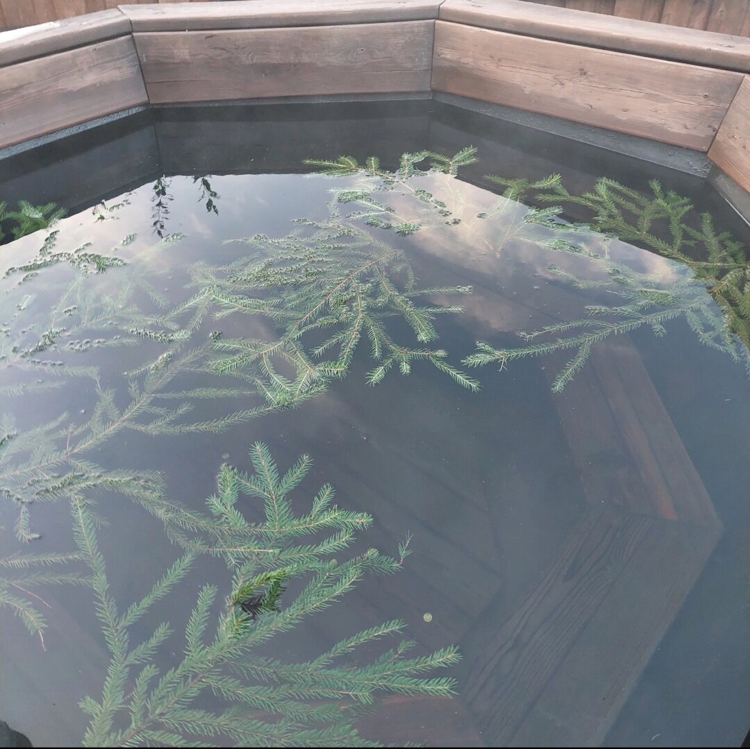 Фото Время в горы