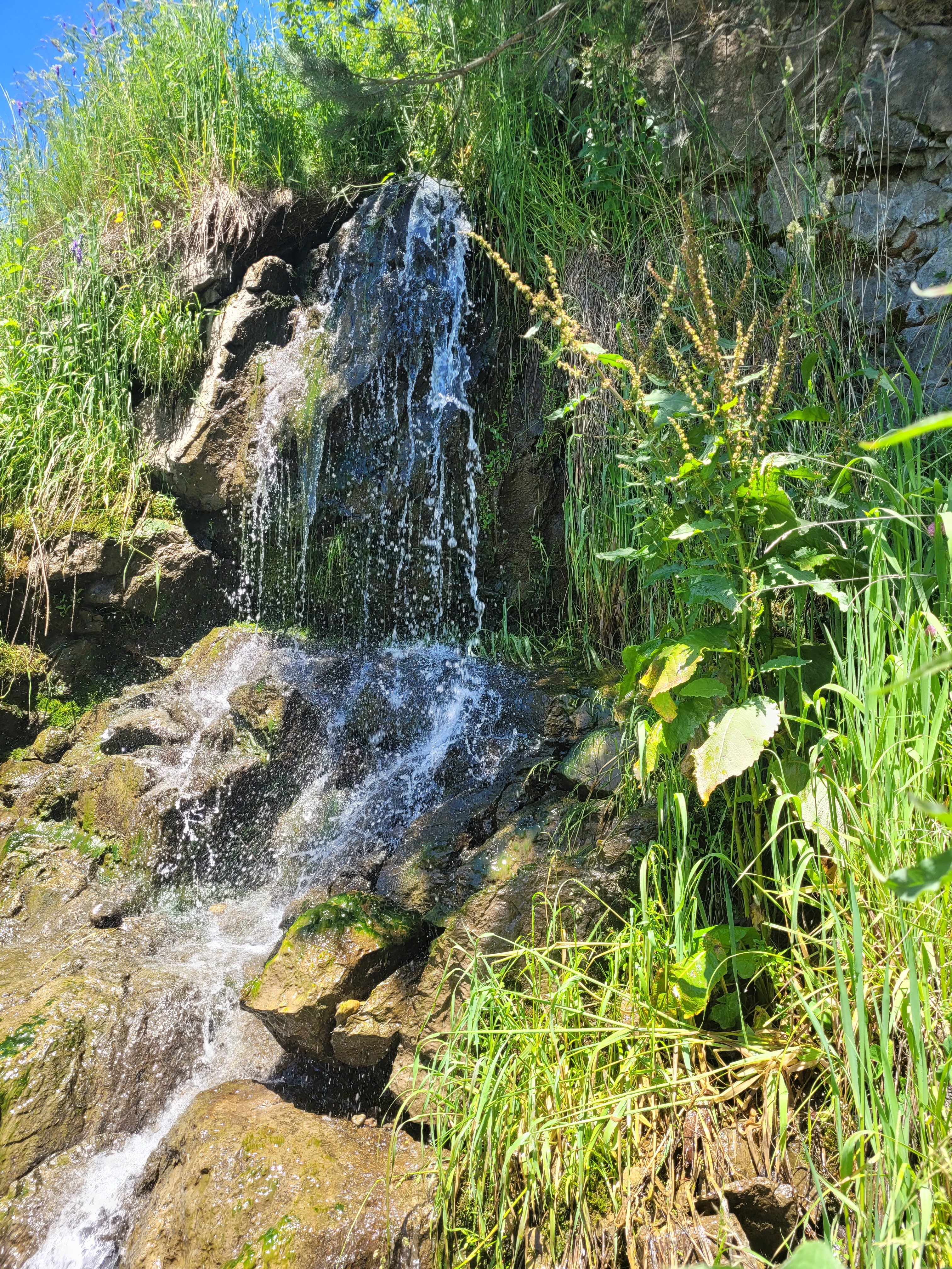 Фото Речной бриз