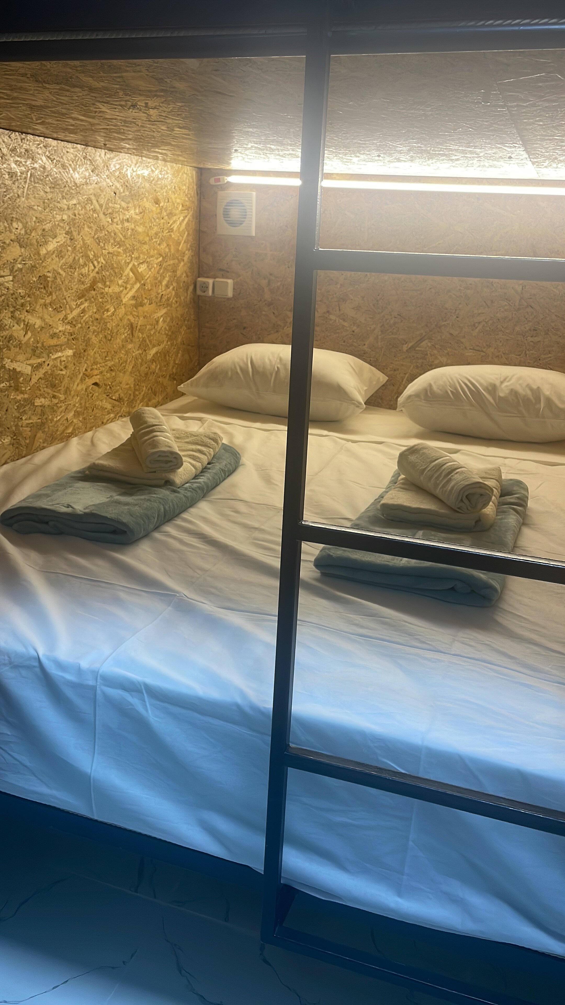 Фото Пальмира