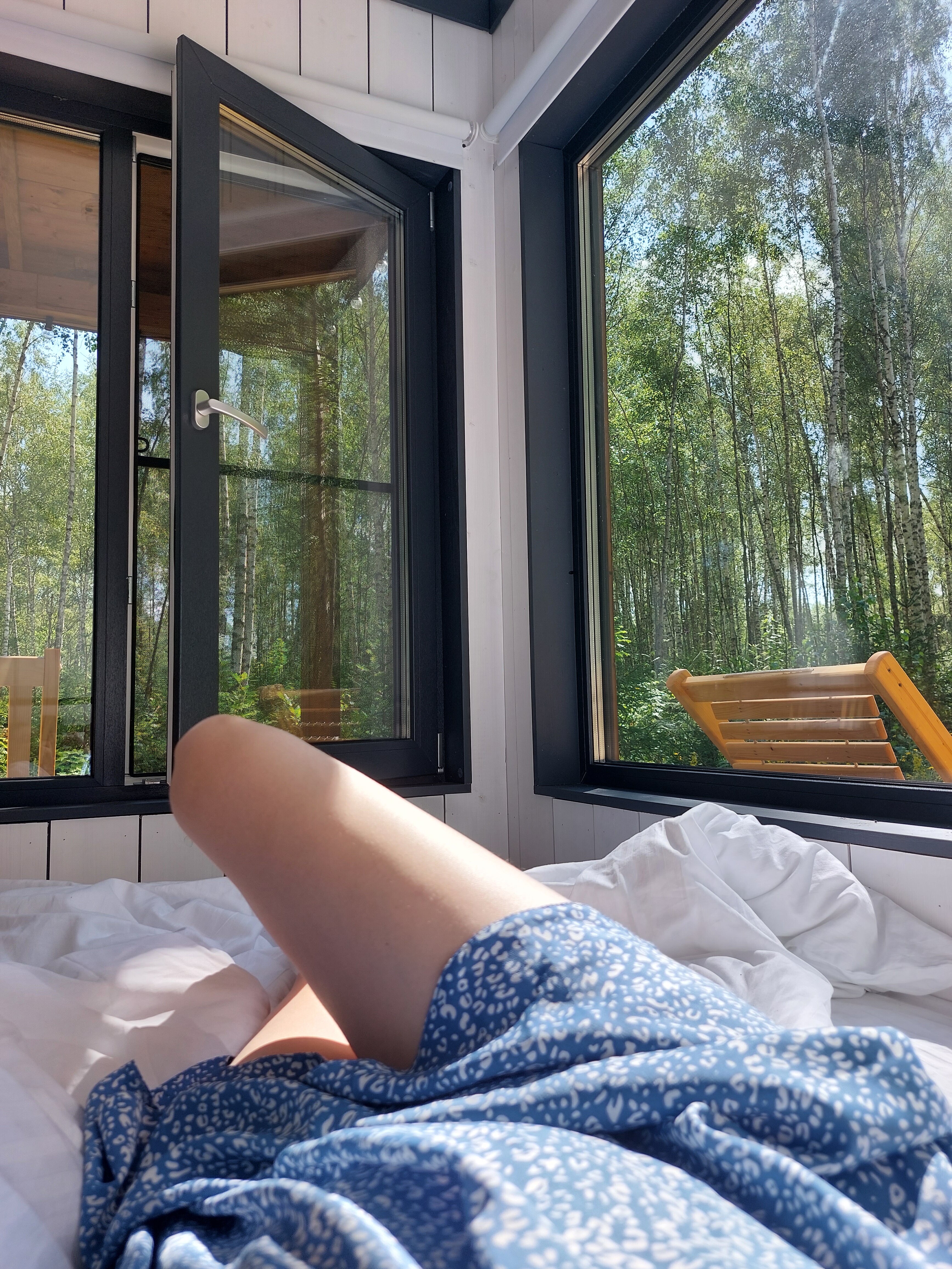 Фото Глэмпинг След Лося