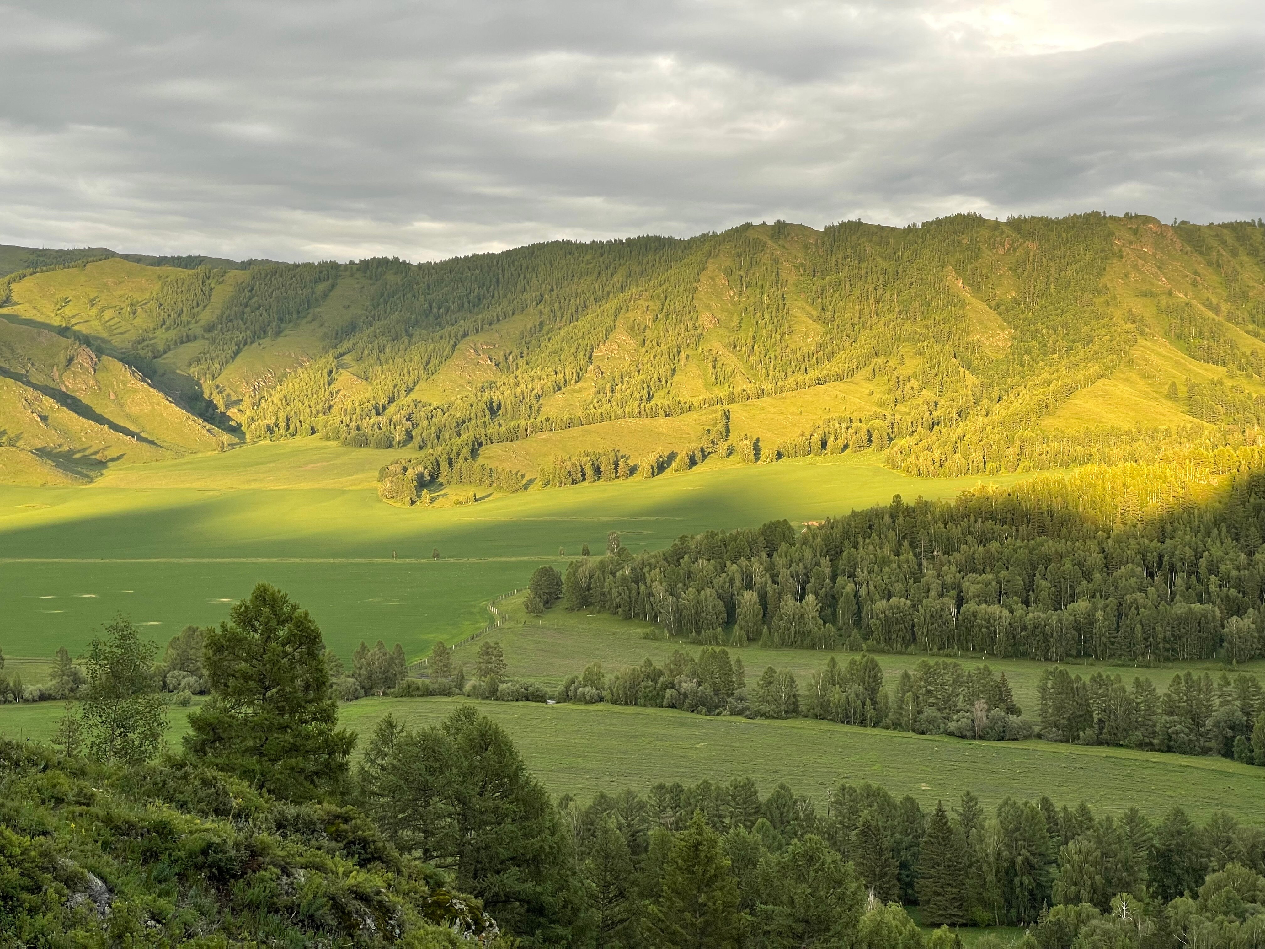 Фото Фазенда
