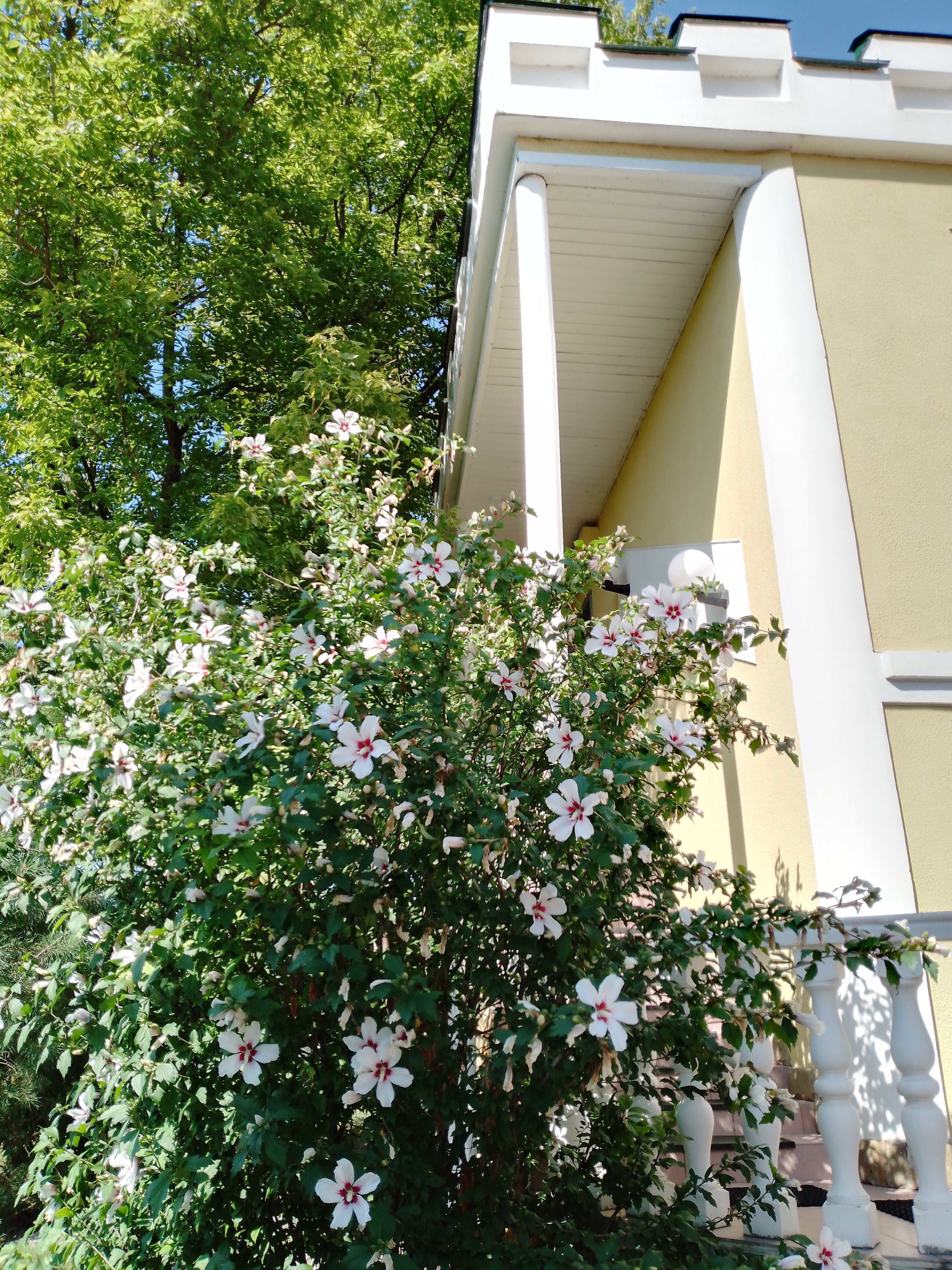 Фото Термальный