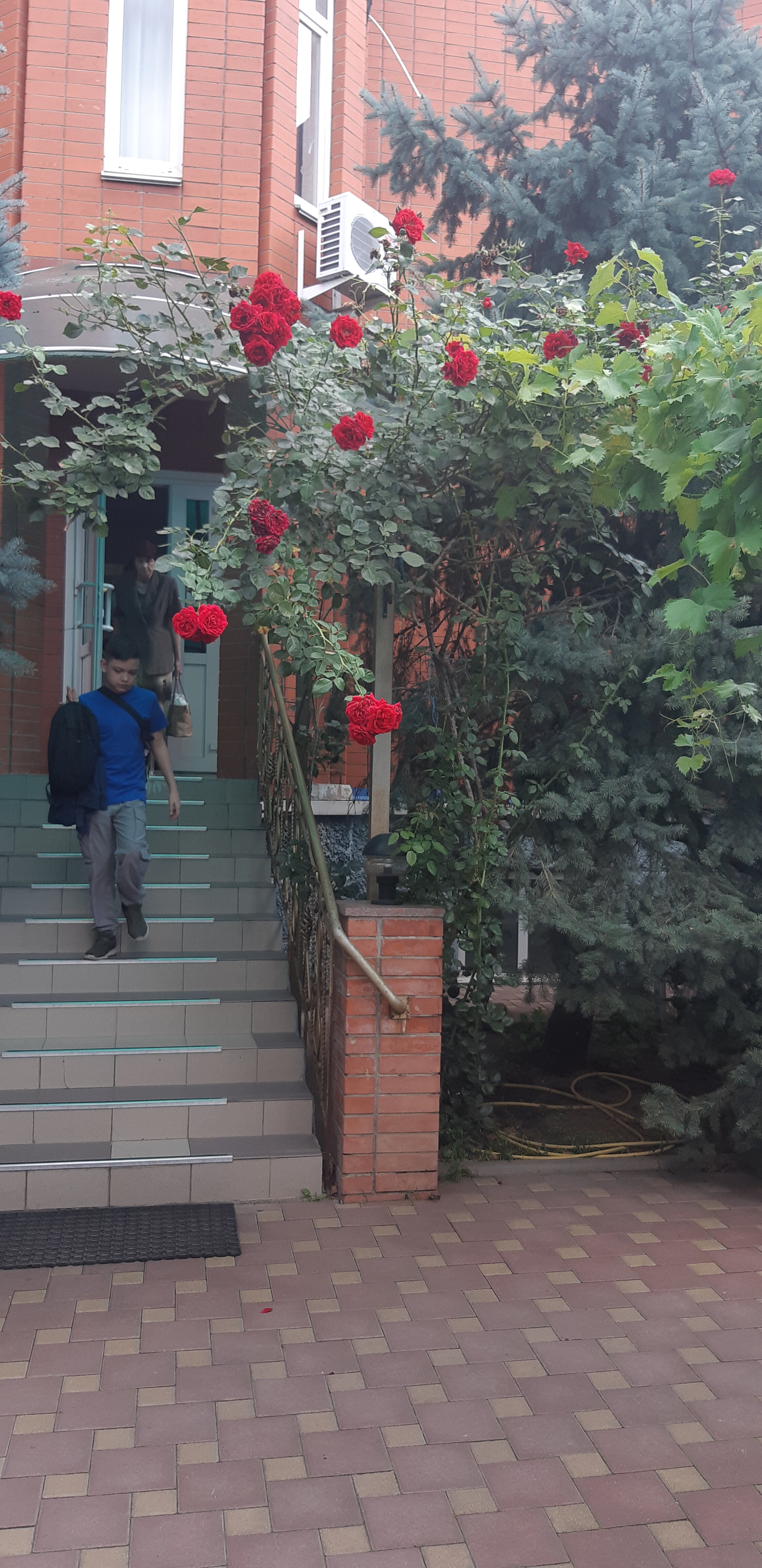 Фото Молодежная