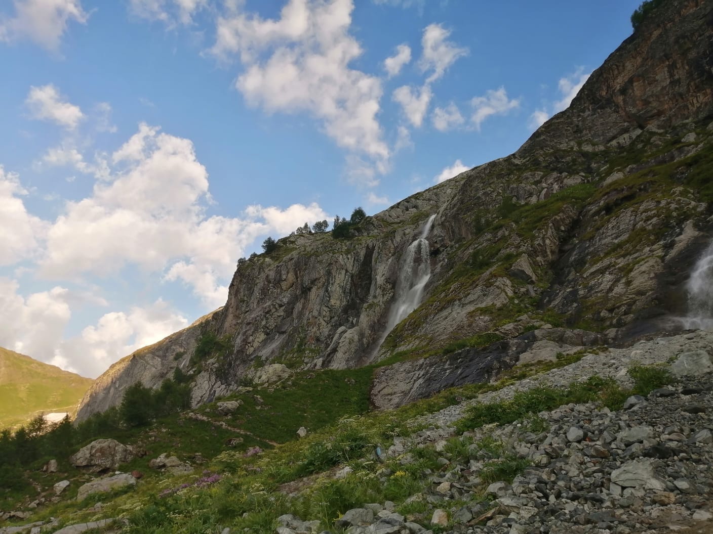 Фото Paradise Forest