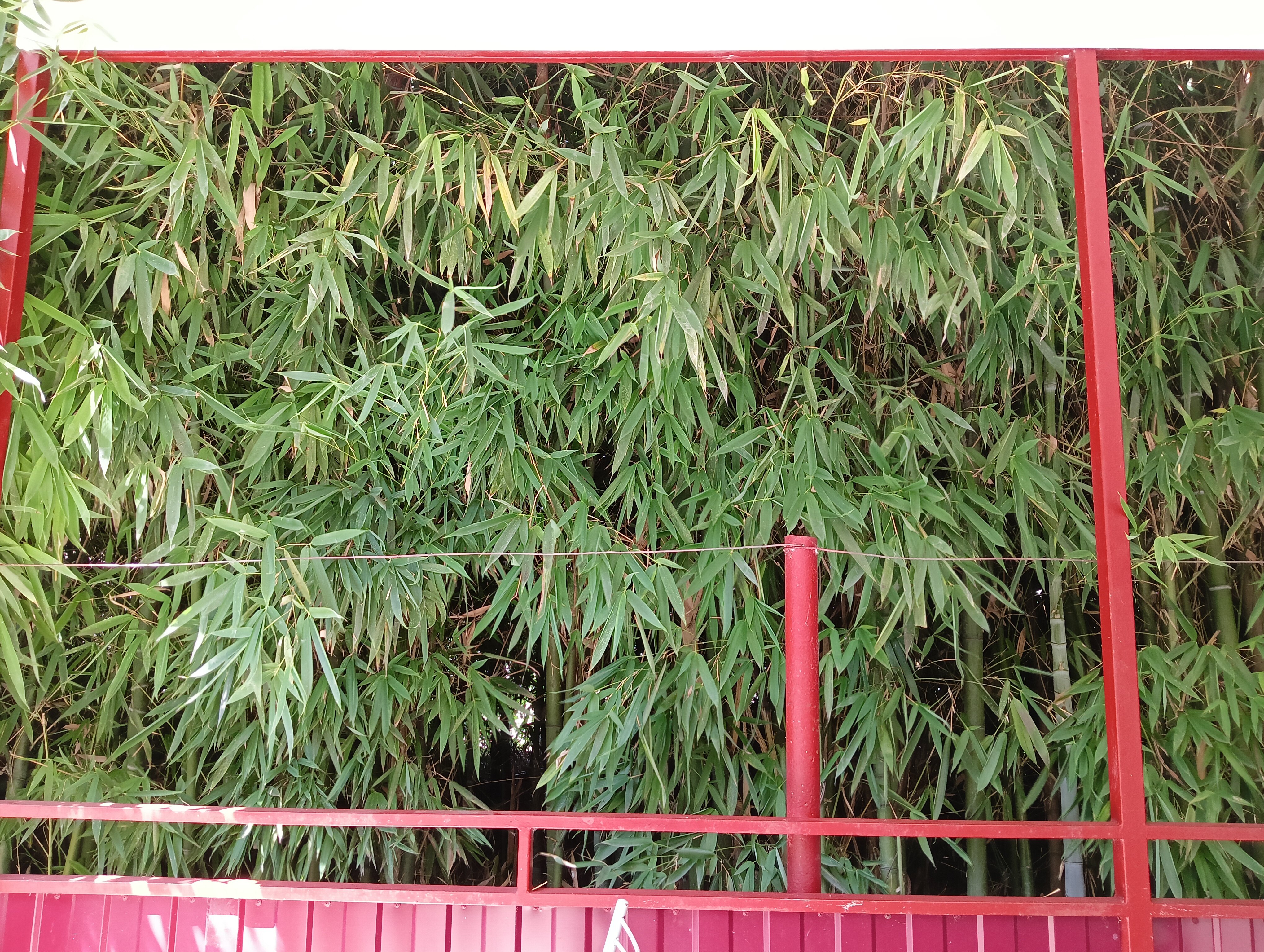 Фото Сабрина