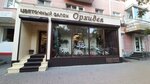 Orkhideya (Plekhanovskaya Street, 6), flower shop