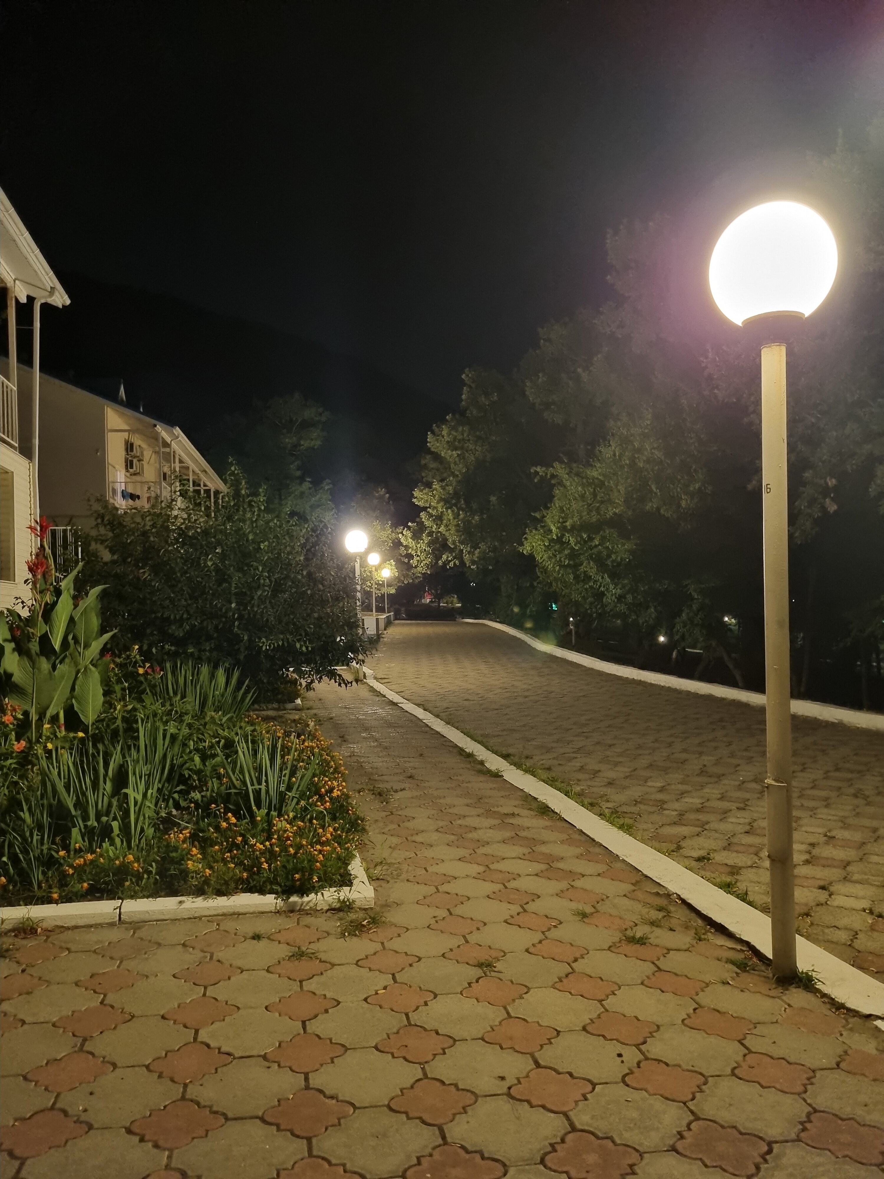 Фото Звёздный