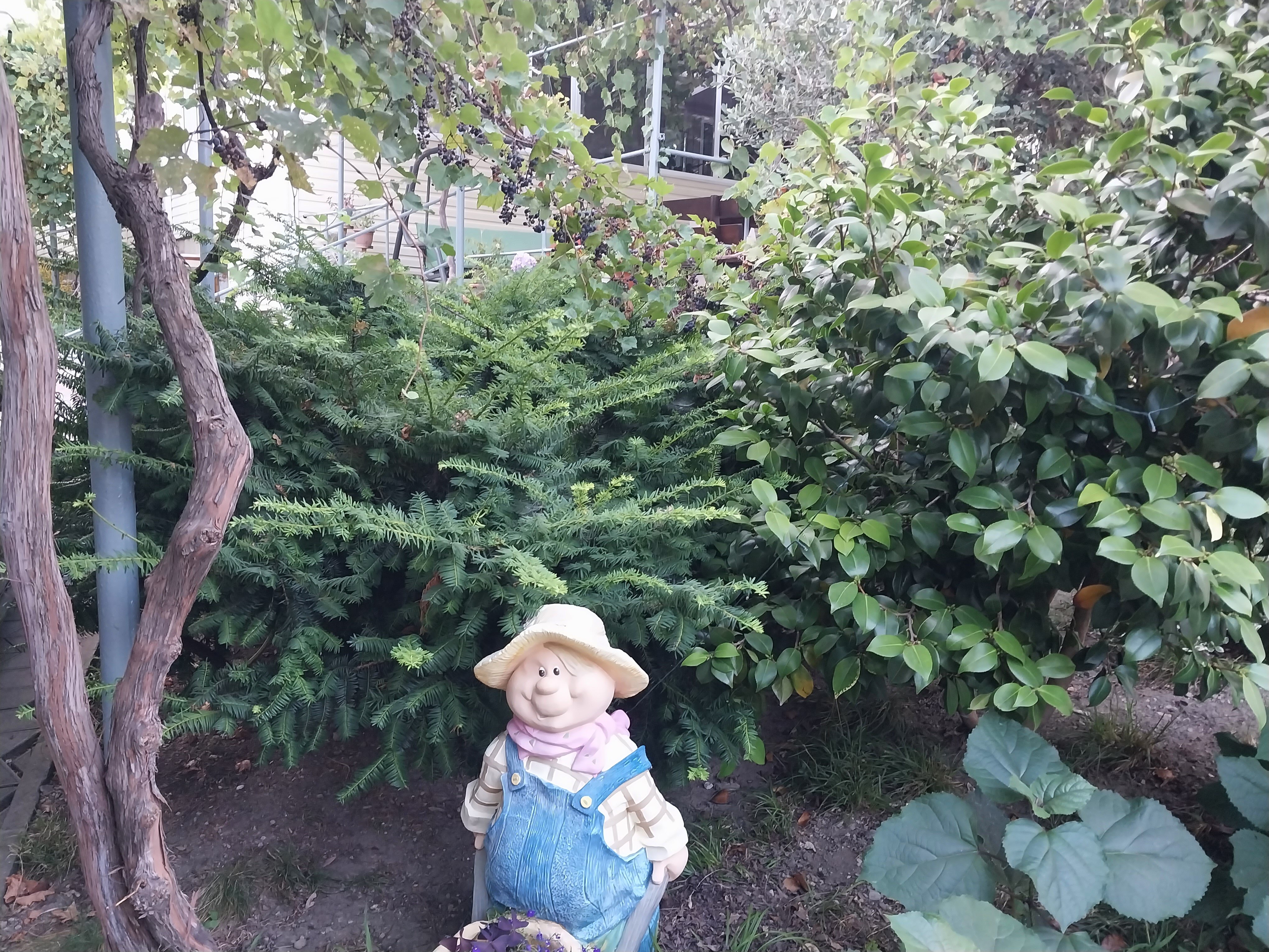 Фото Райский уголок