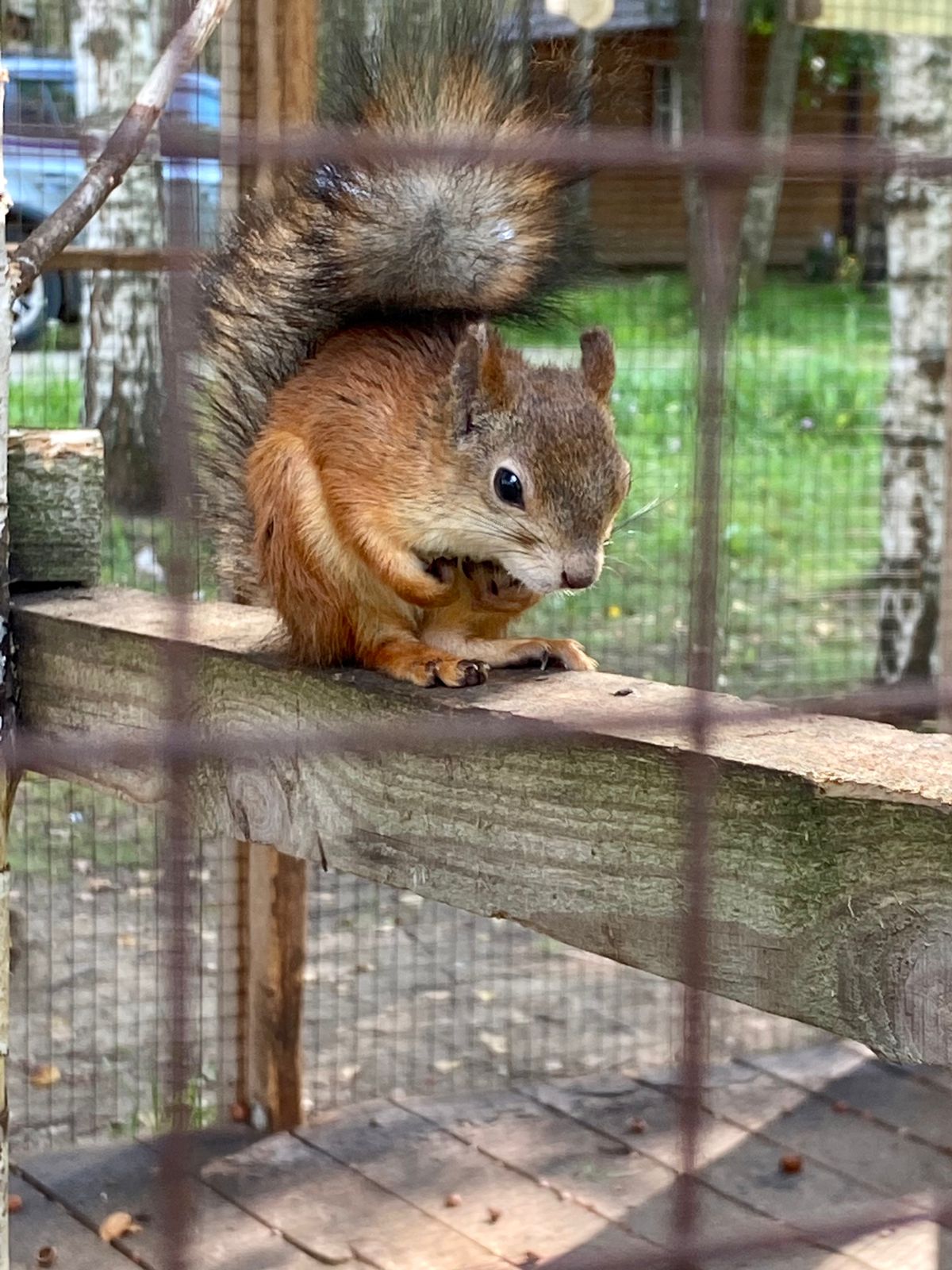 Фото Серебряный ключ