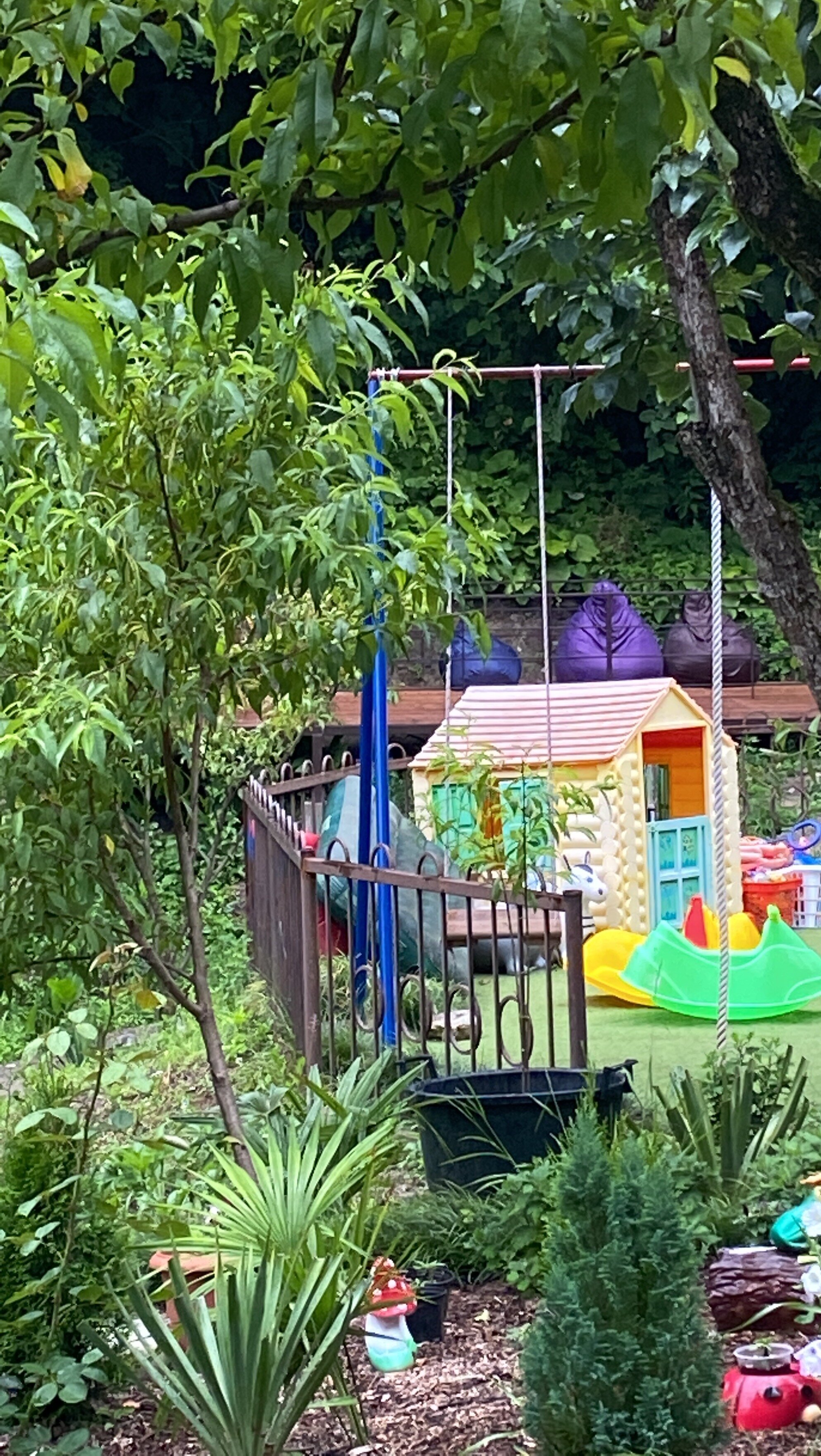 Фото Элен Хаус