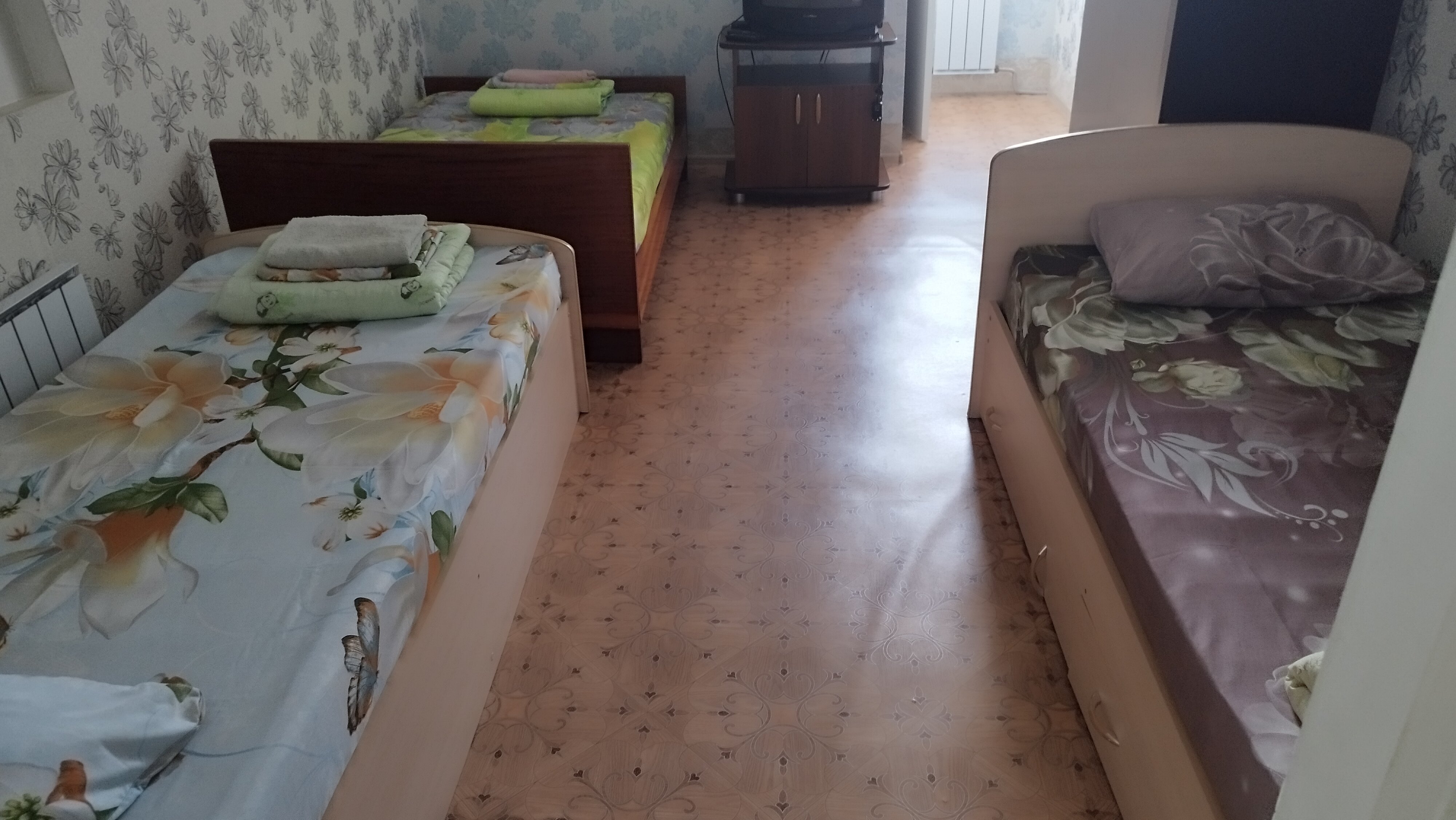 Фото Дикая Вишня